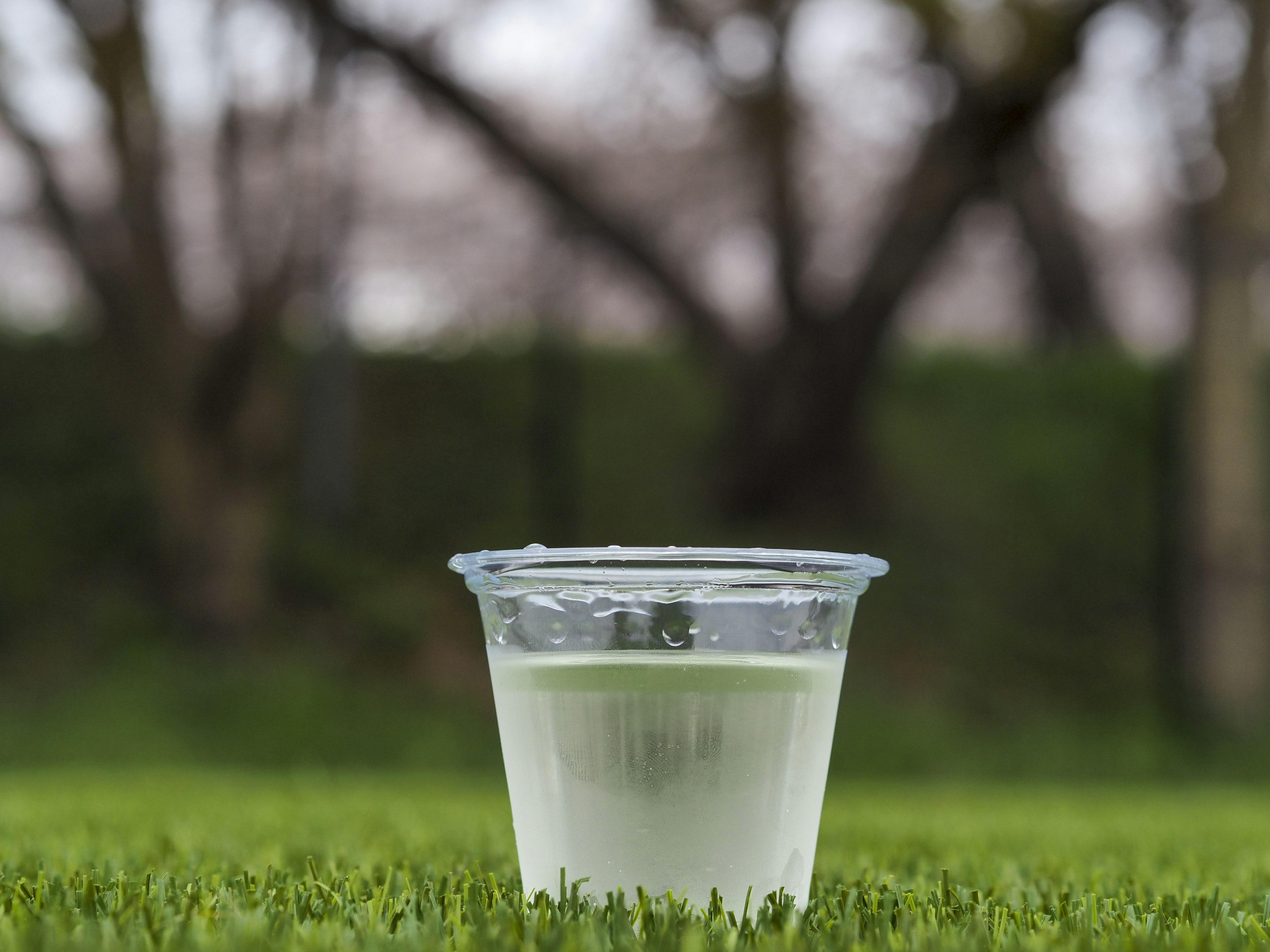 Un gobelet transparent rempli d'eau posé sur de l'herbe verte