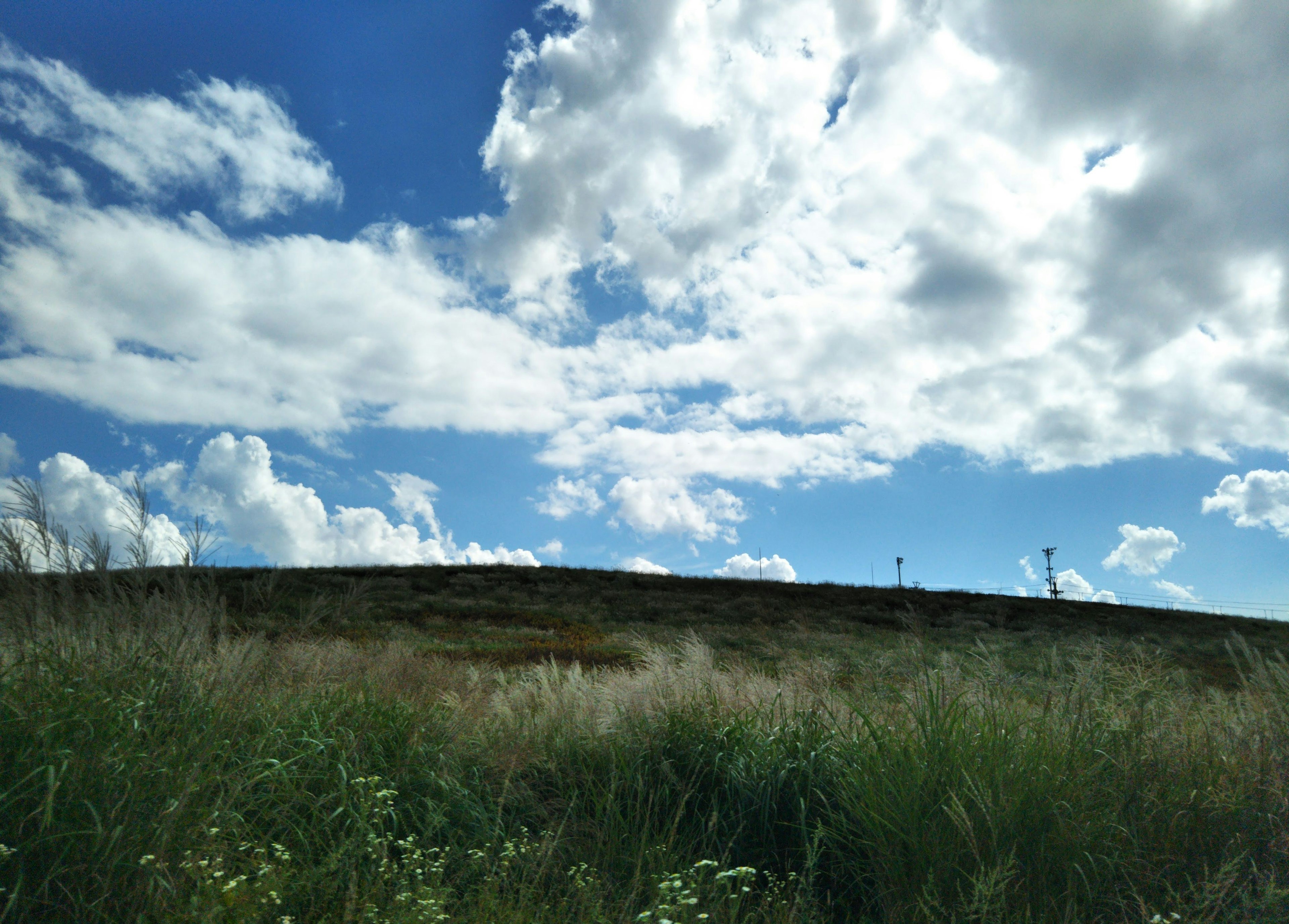 Paesaggio con cielo blu e nuvole bianche su una collina erbosa