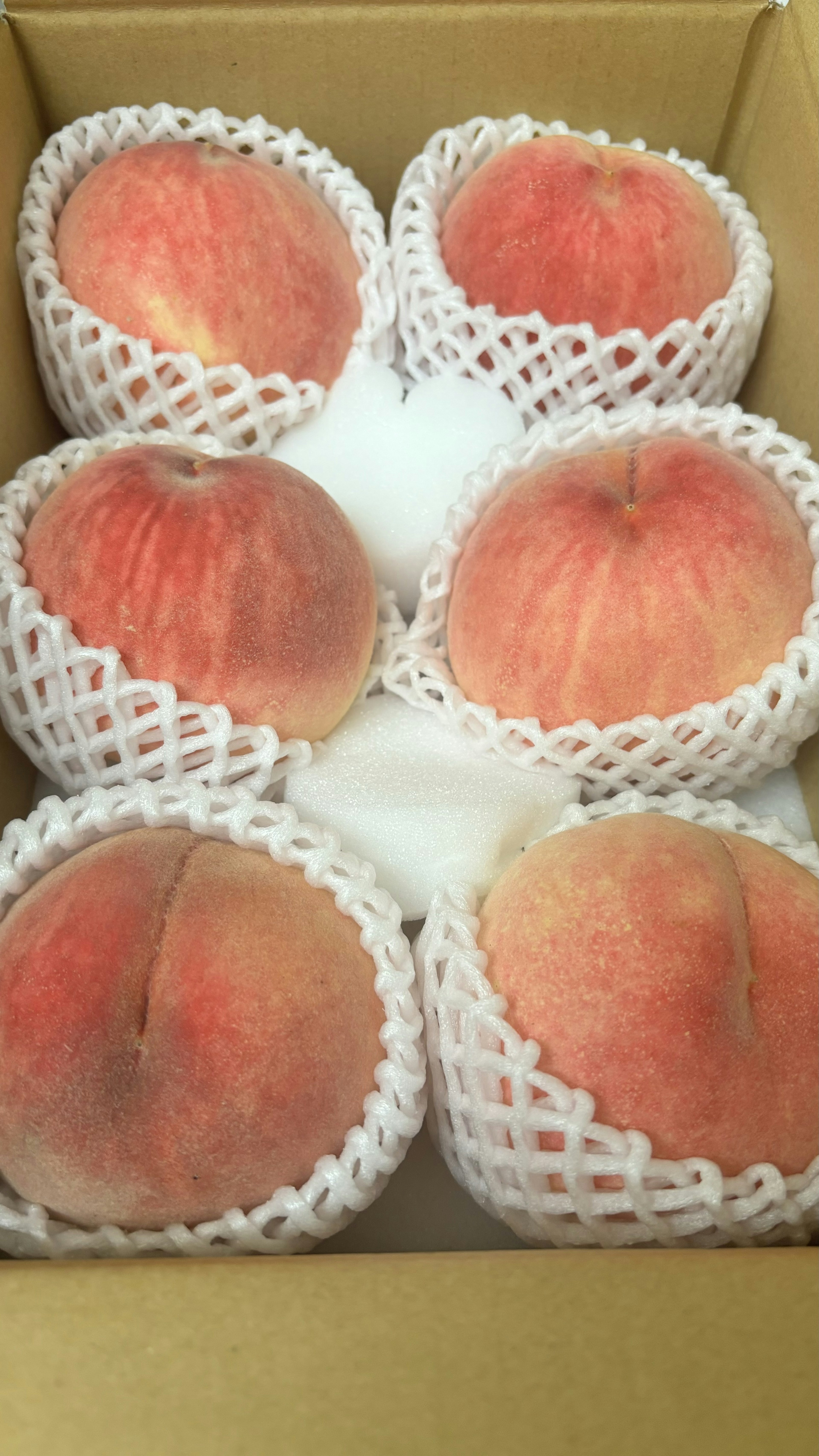 A box containing ripe peaches wrapped in protective netting