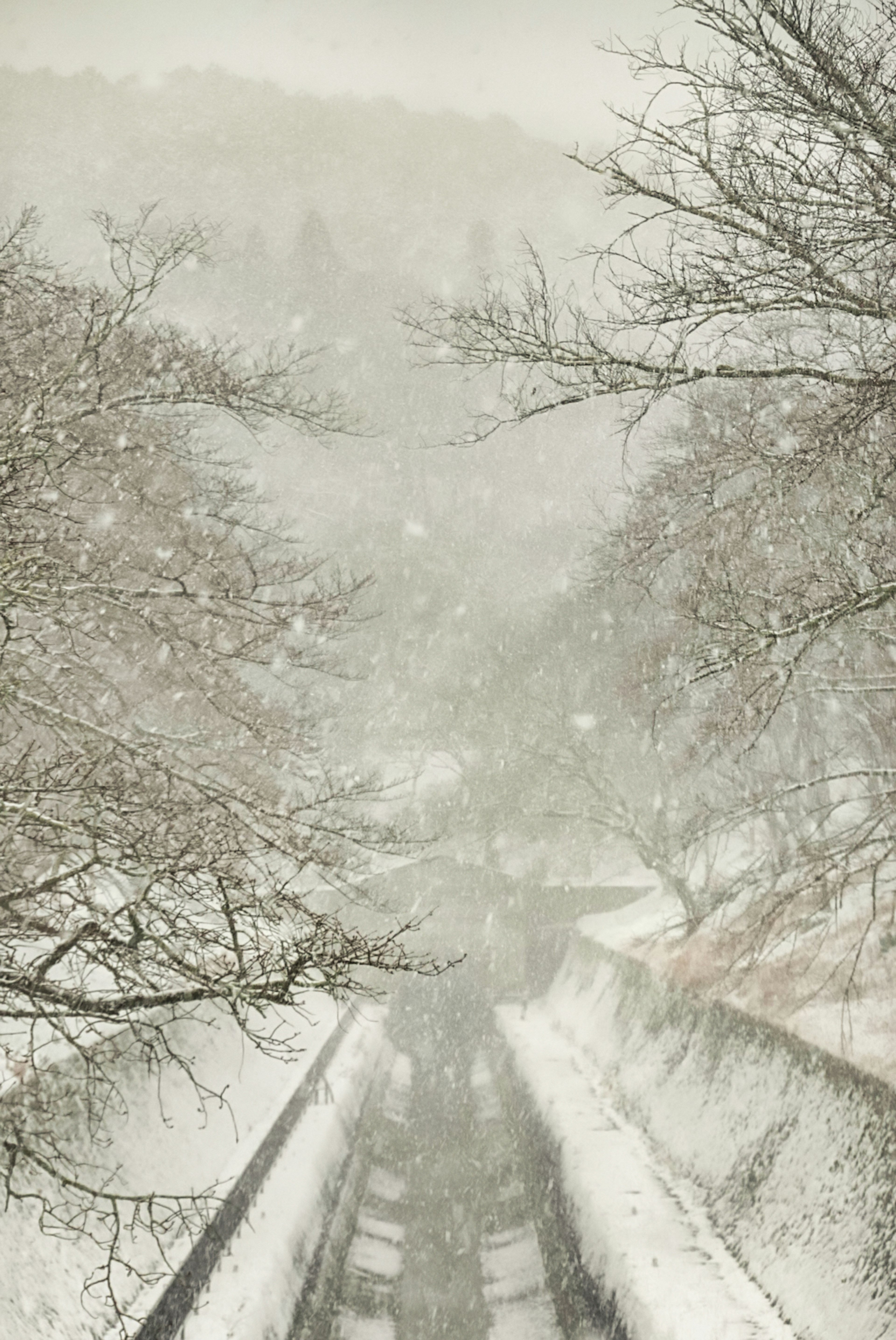 Paesaggio innevato con un fiume e alberi