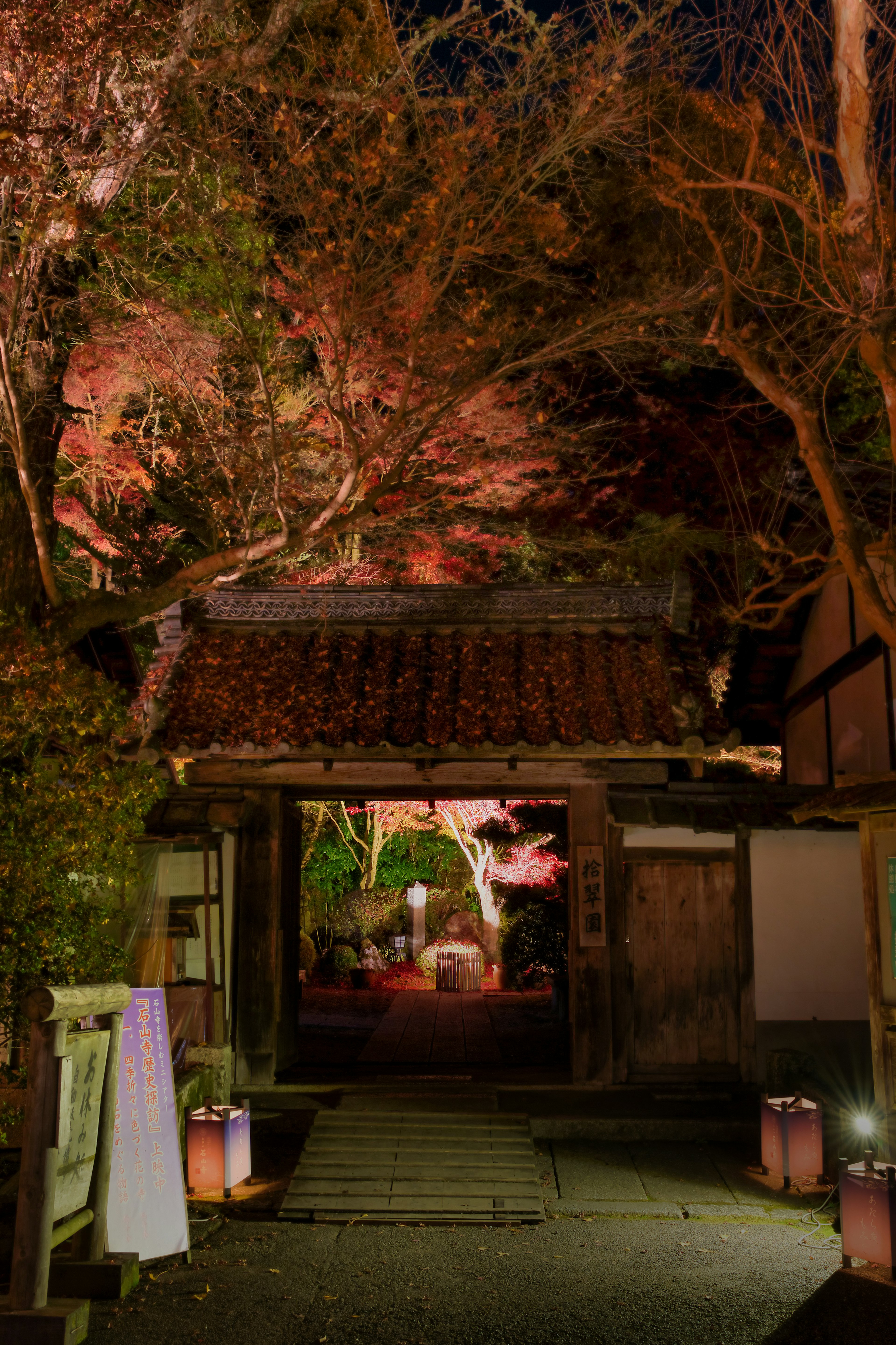 Belle vue de la porte d'entrée d'un jardin japonais la nuit