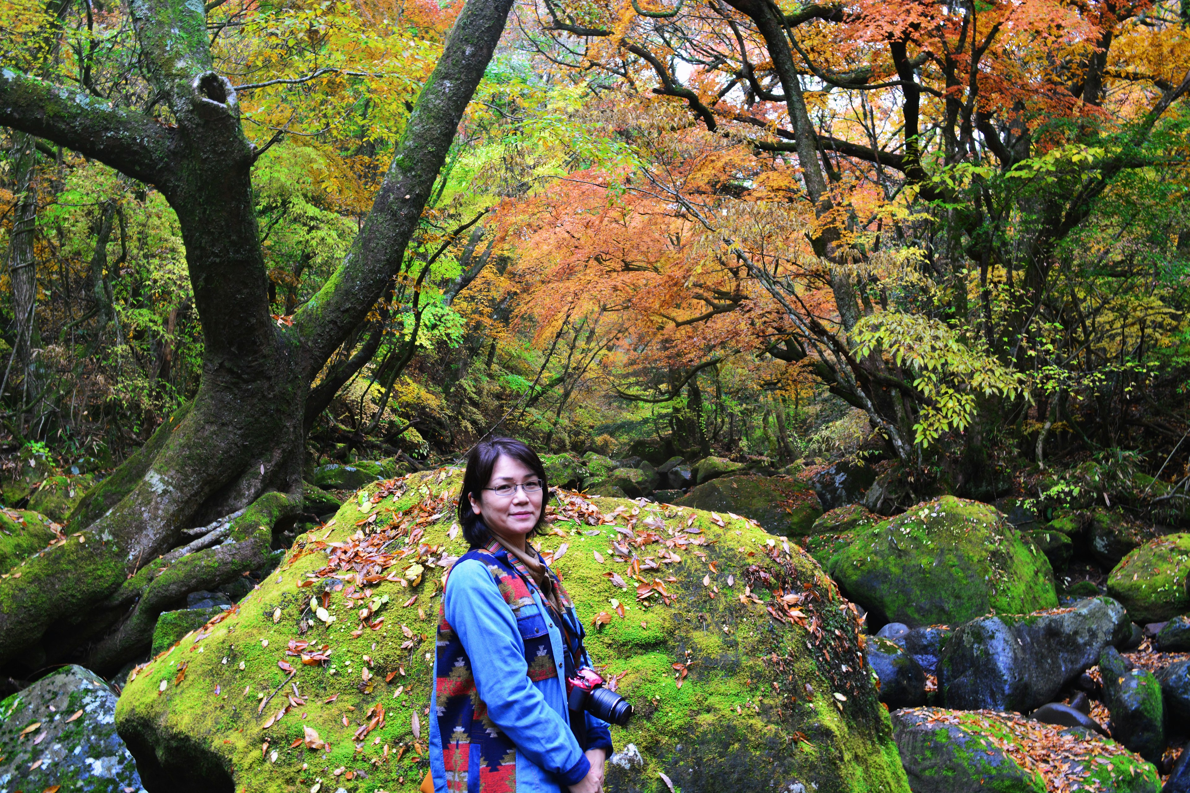 美しい秋の風景の中に立つ女性 緑の苔に覆われた大きな岩と色とりどりの葉