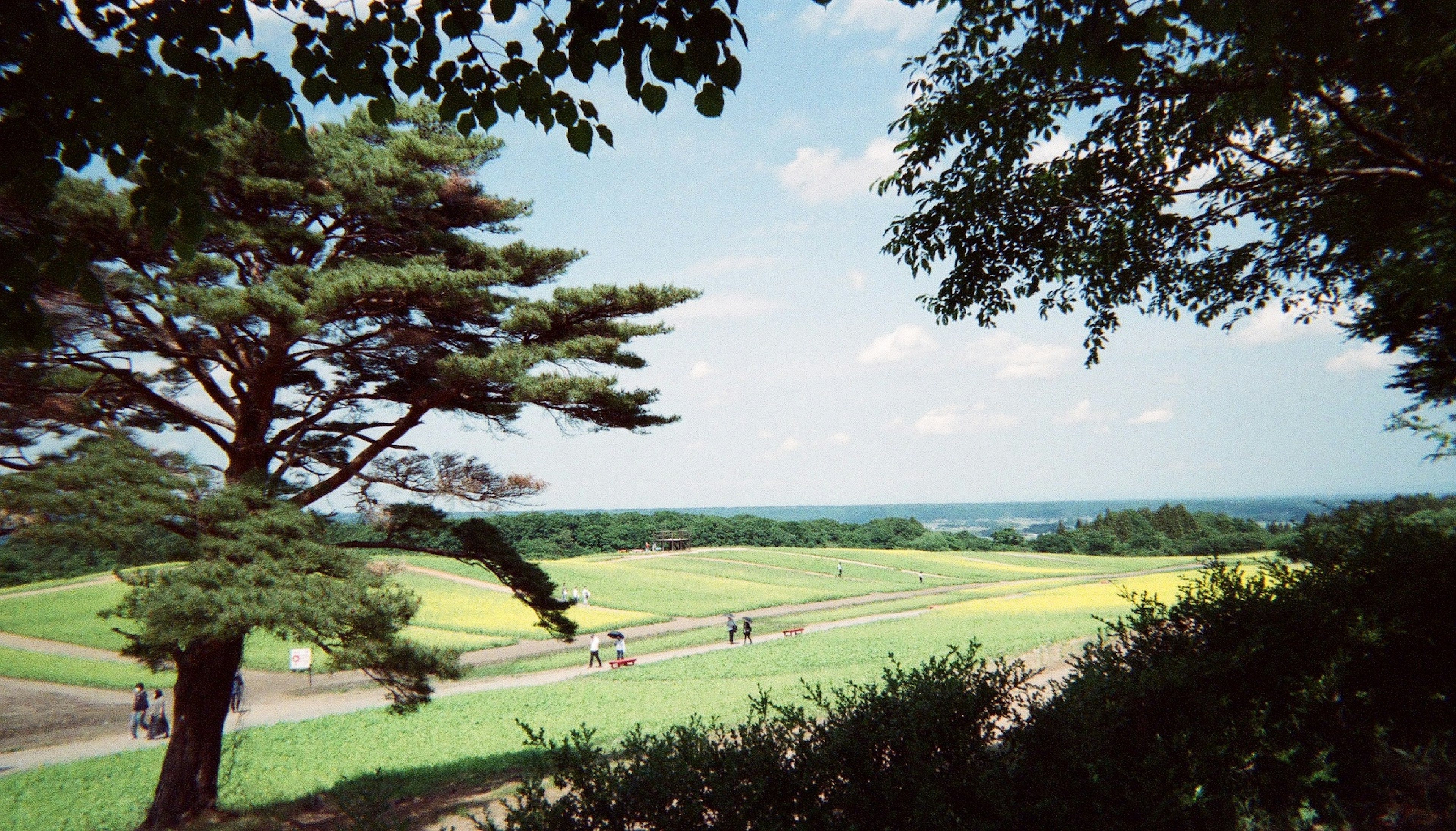 A green landscape under a blue sky with people walking