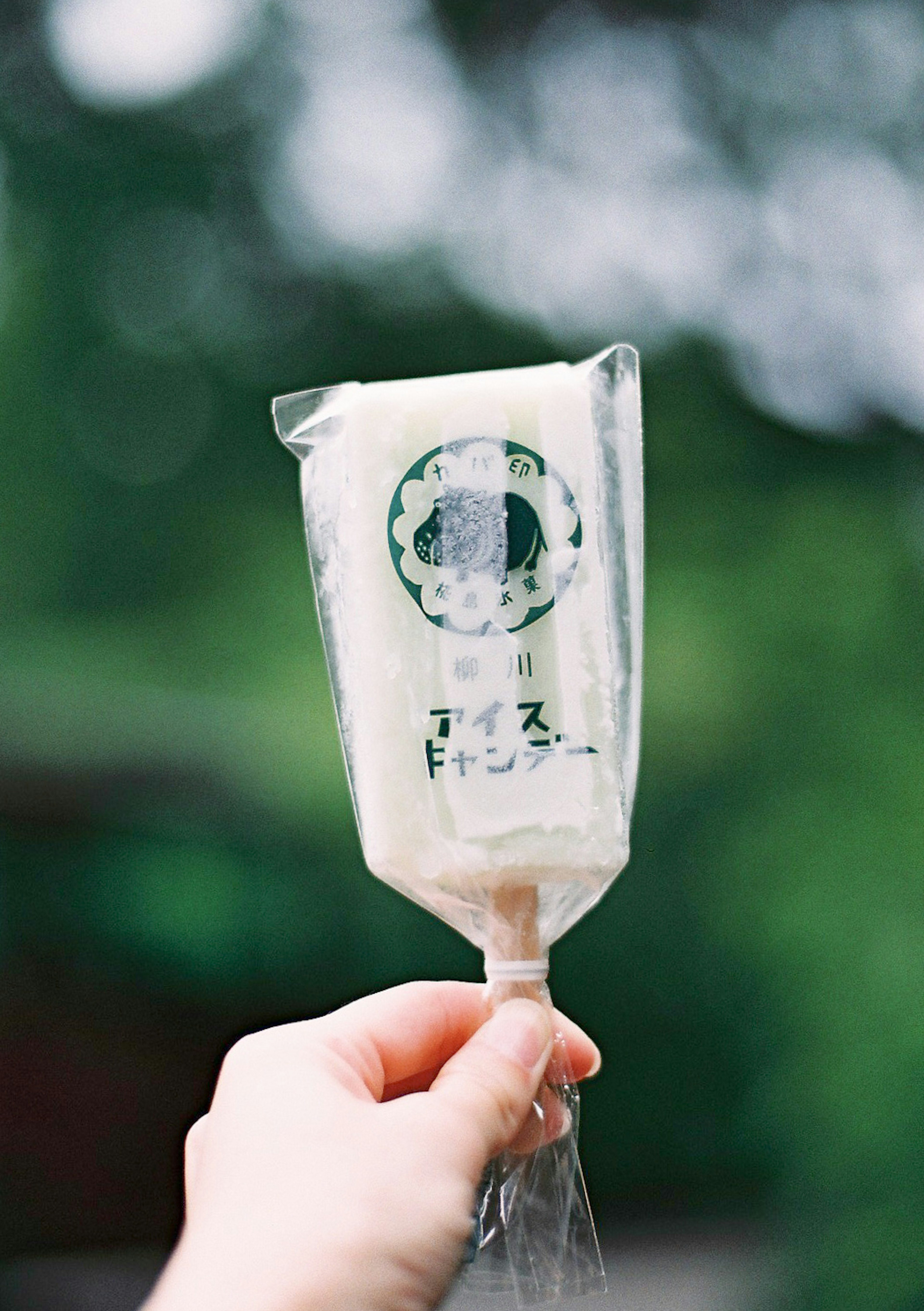 A hand holding an ice cream popsicle with a green blurred background