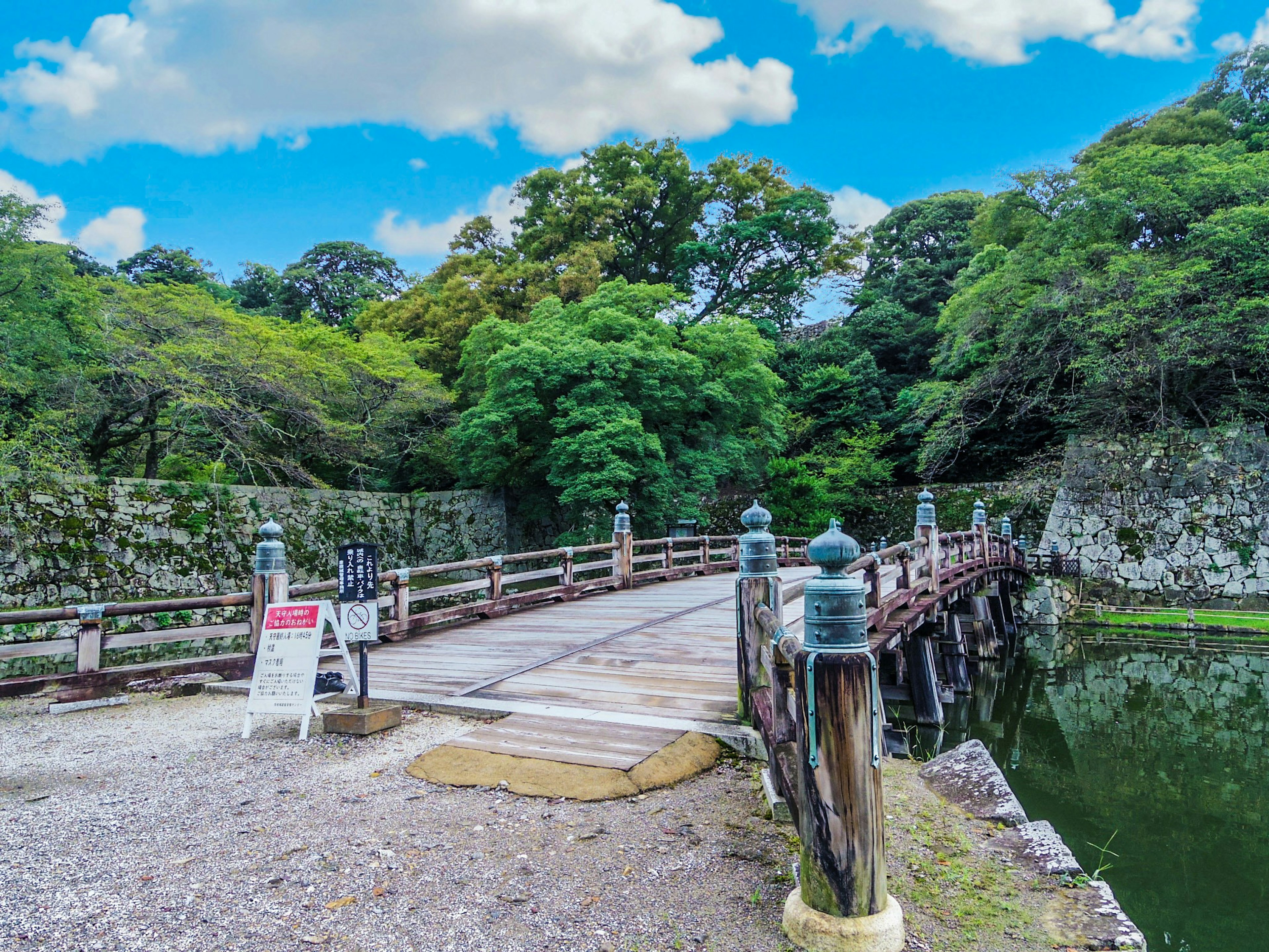 Bellissimo ponte circondato da alberi verdi lussureggianti