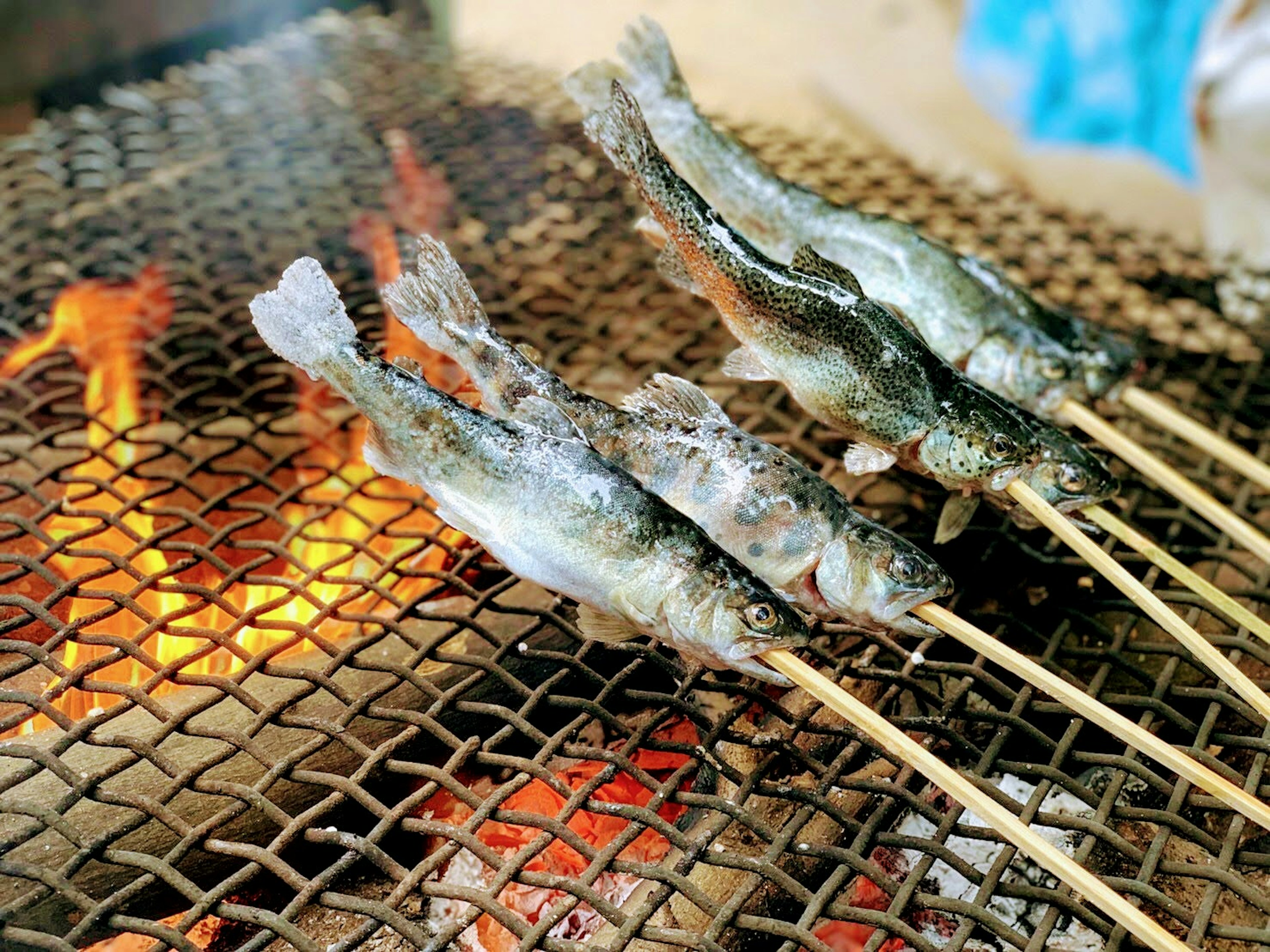 Grilled fish skewers cooking over an open flame