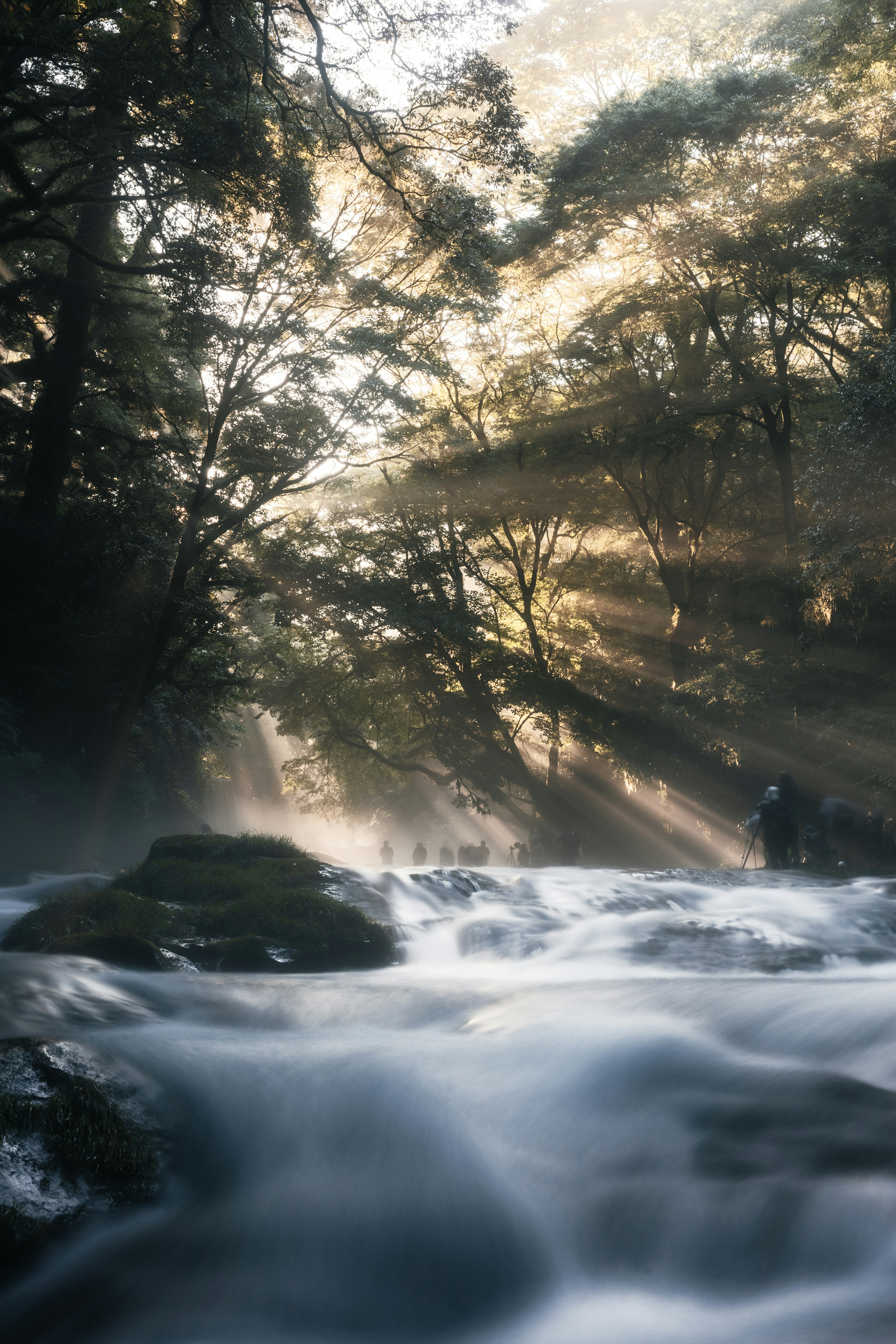 Fiume che scorre con fasci di luce che filtrano tra gli alberi