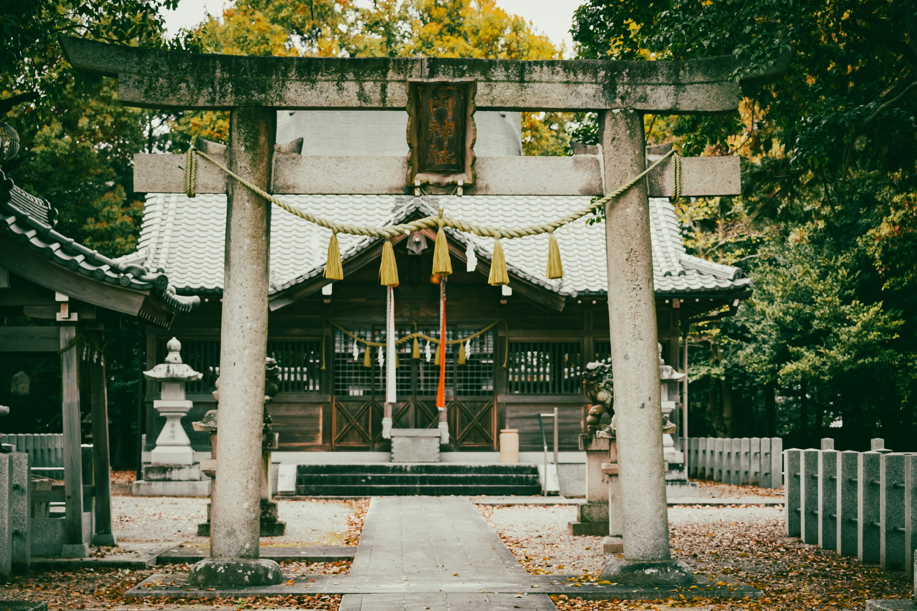 A serene view of a shrine with a torii gate and surrounding trees