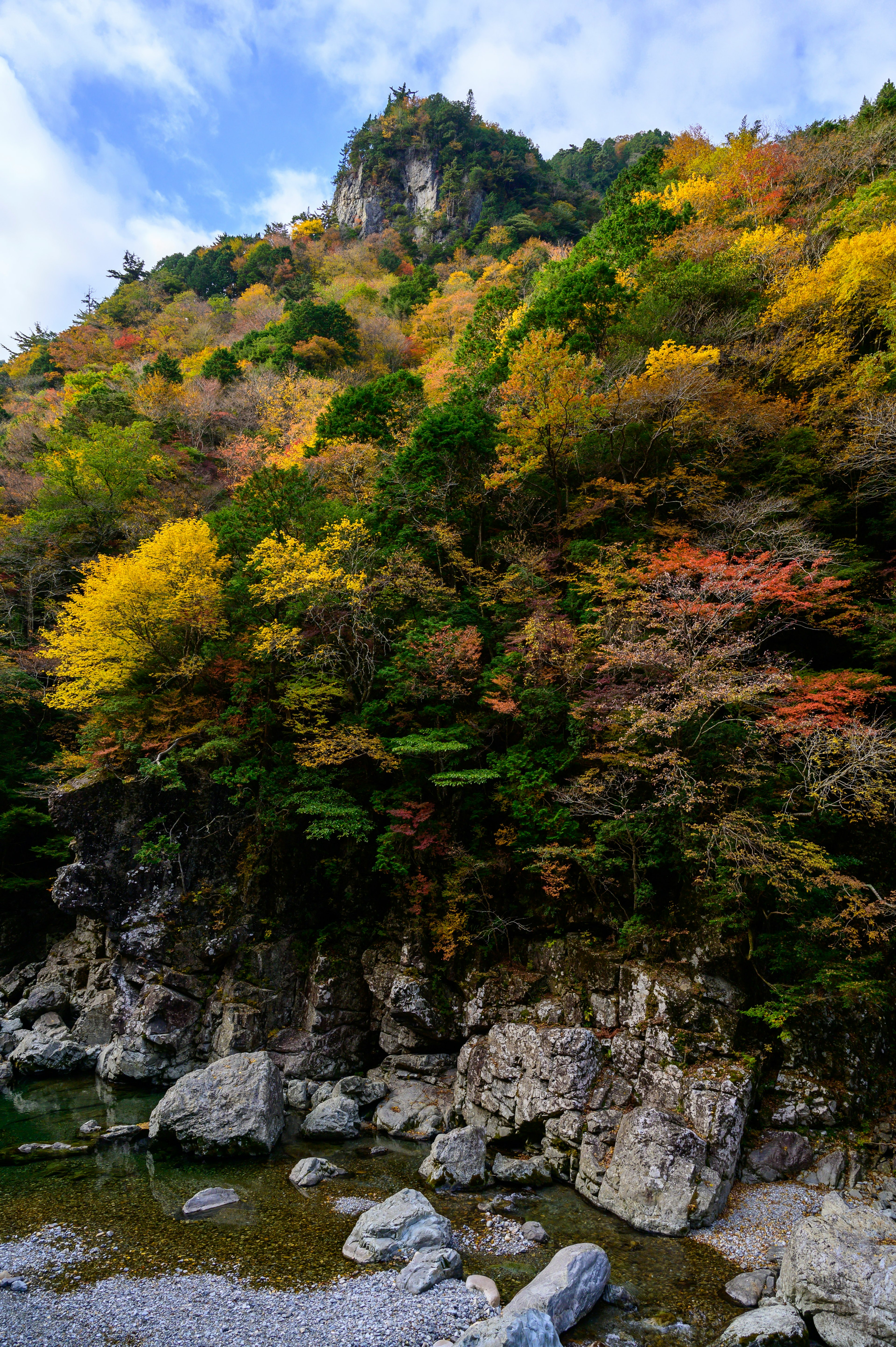 色とりどりの秋の葉が茂る山の風景と岩が映る川