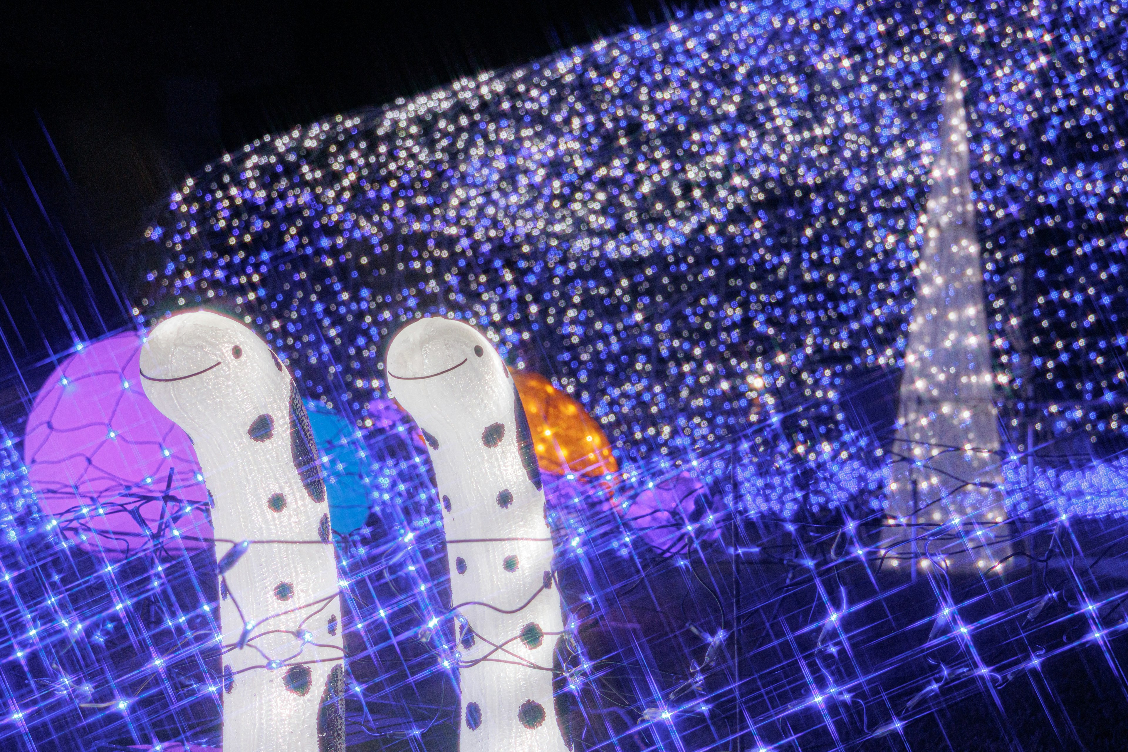 White polka dot boots in the foreground with a colorful illuminated background featuring blue and purple lights