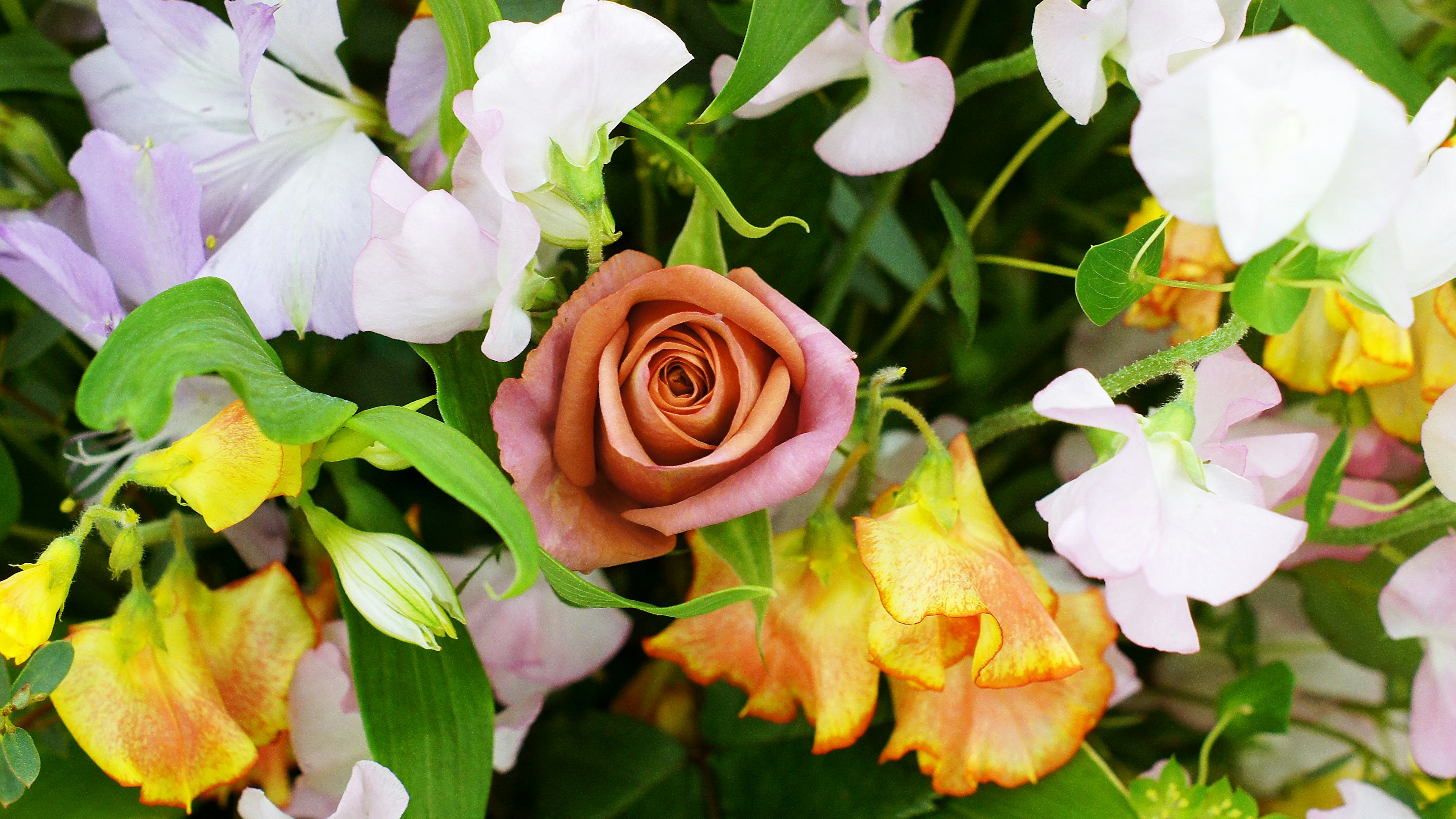 色とりどりの花々の中に美しいバラがあるアレンジメント