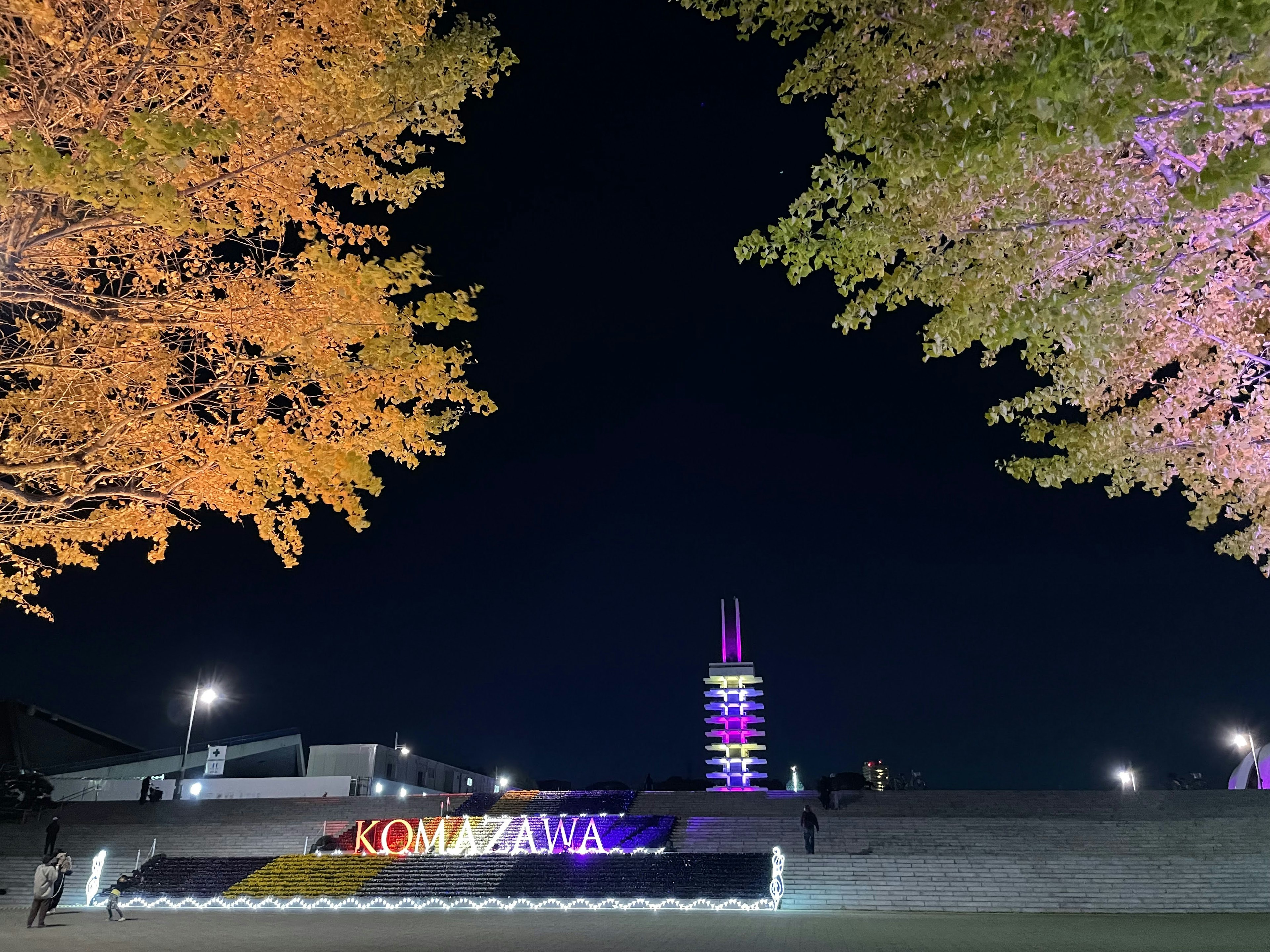 夜空の下で彩られた木々と光る建物がある風景