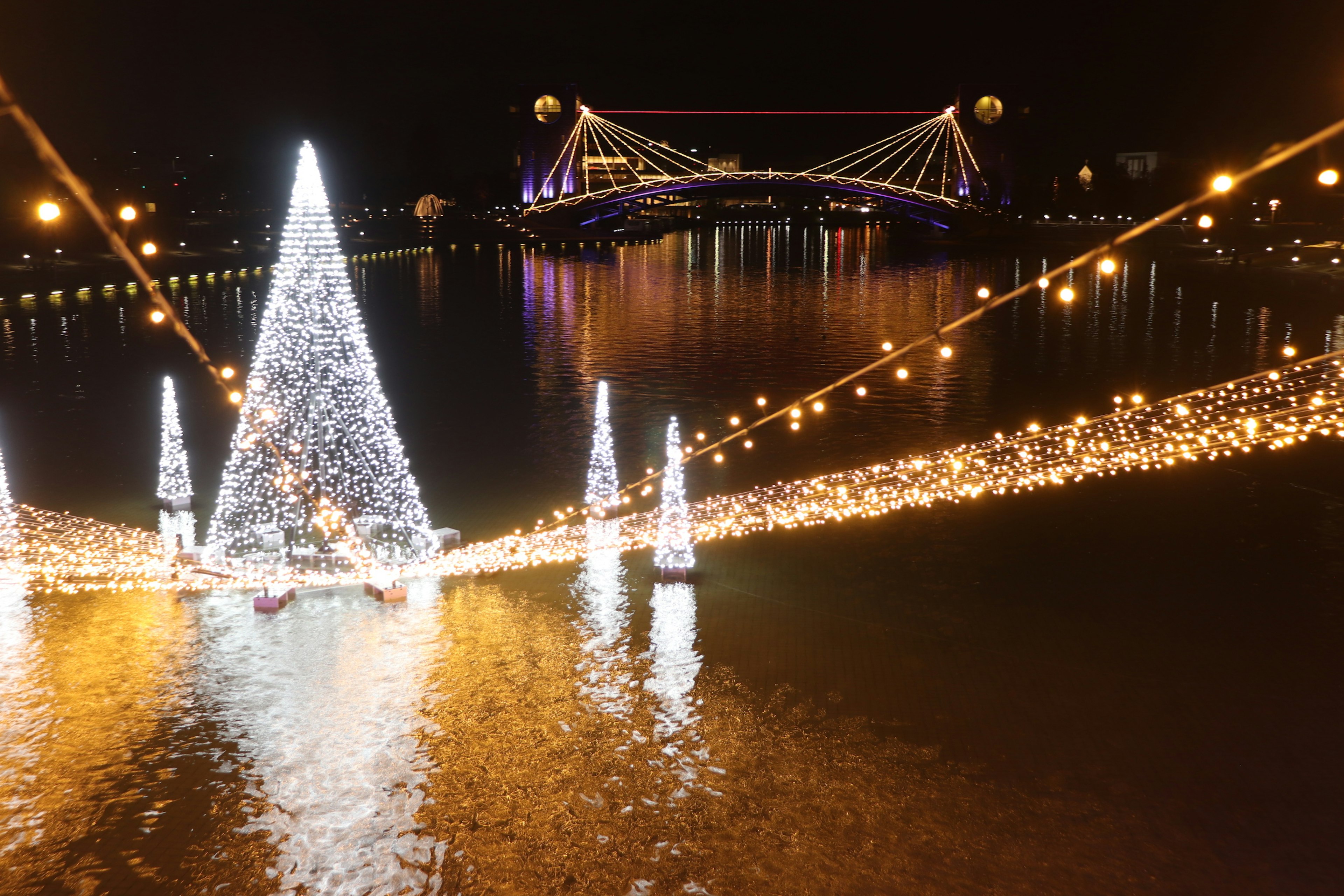 Una hermosa escena de árboles de Navidad iluminados y luces reflejándose en el río por la noche