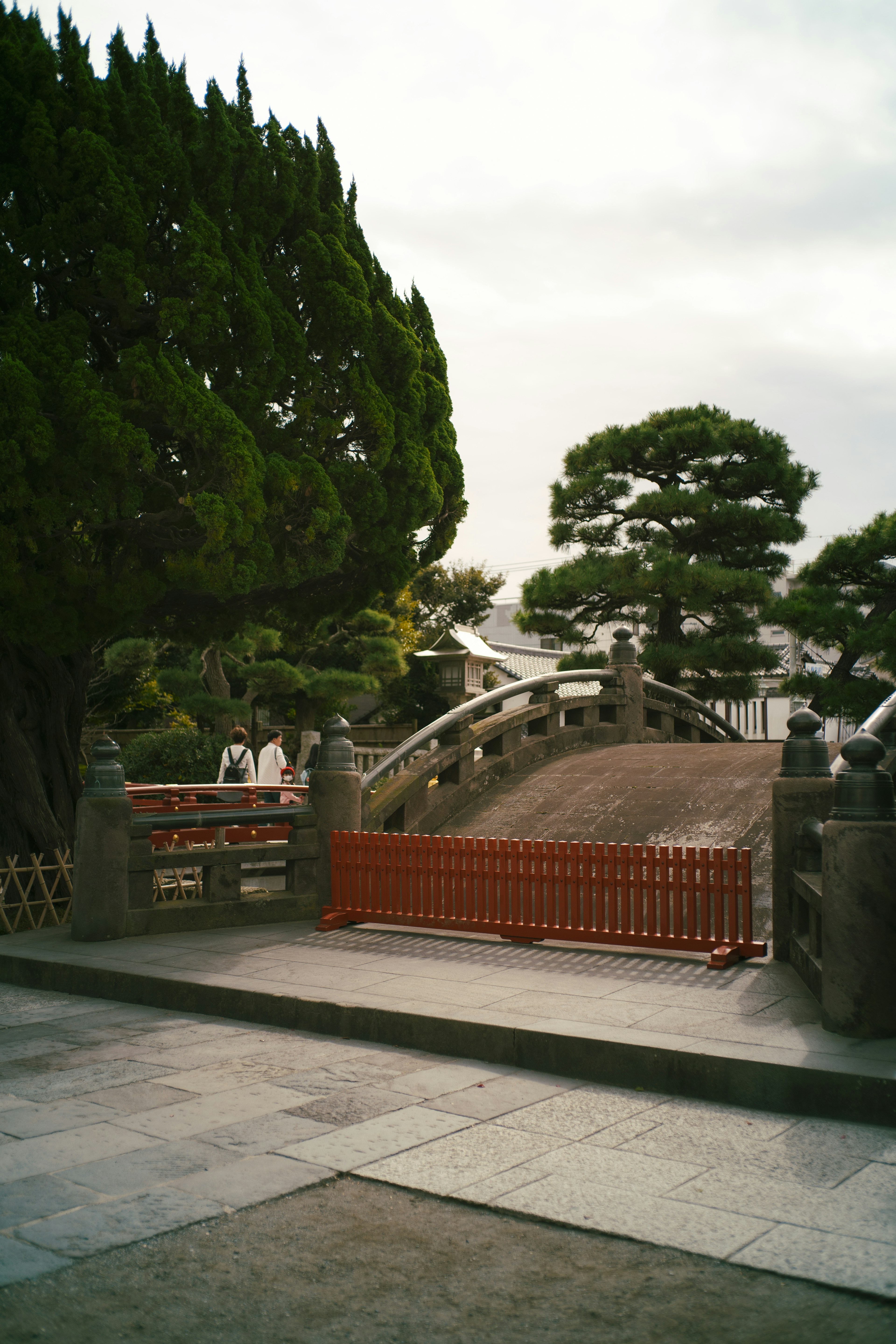 A tranquil scene featuring a bridge and lush green trees