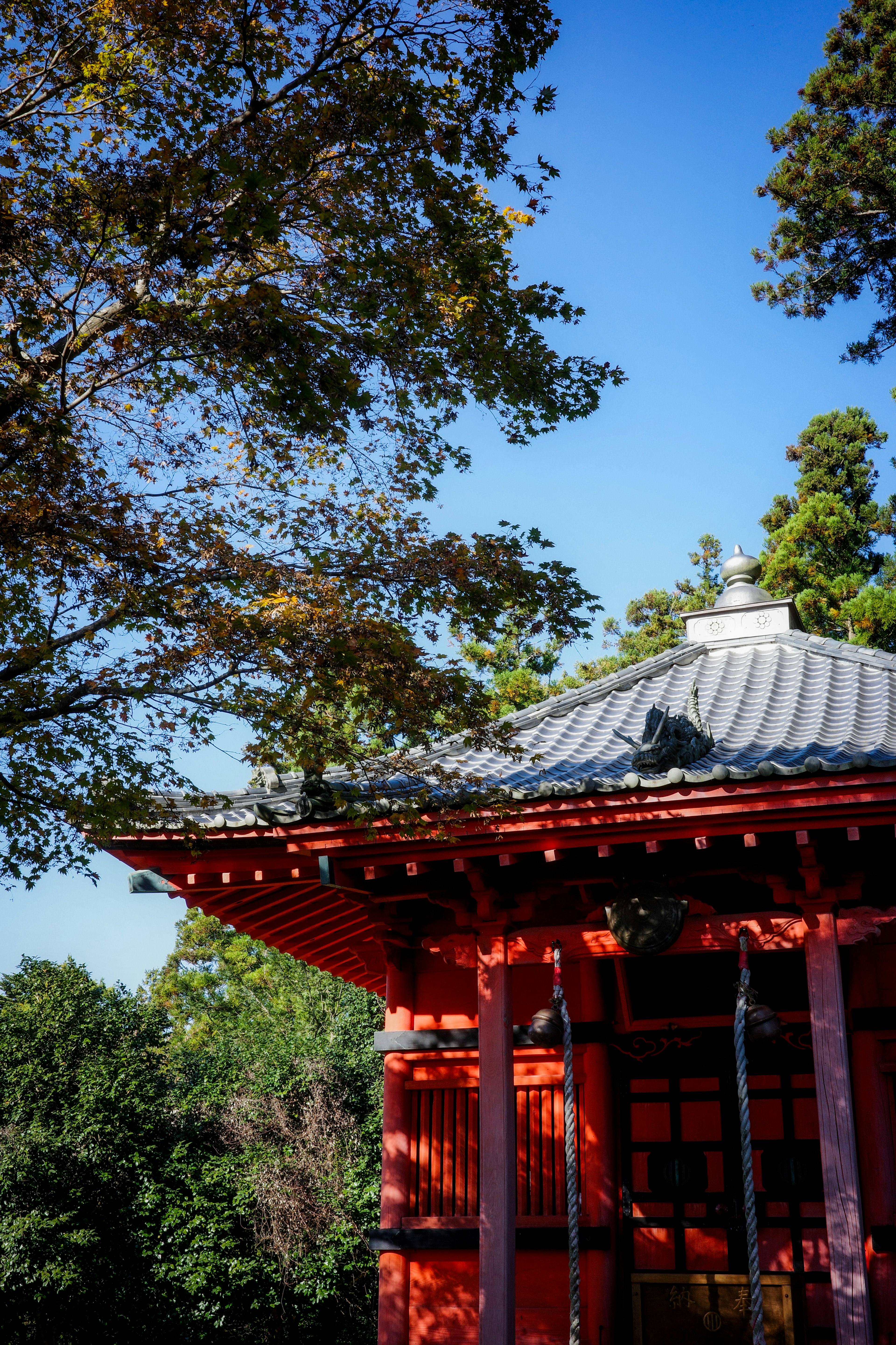 Rotes Gebäude mit geneigtem Dach vor blauem Himmel und grünen Bäumen