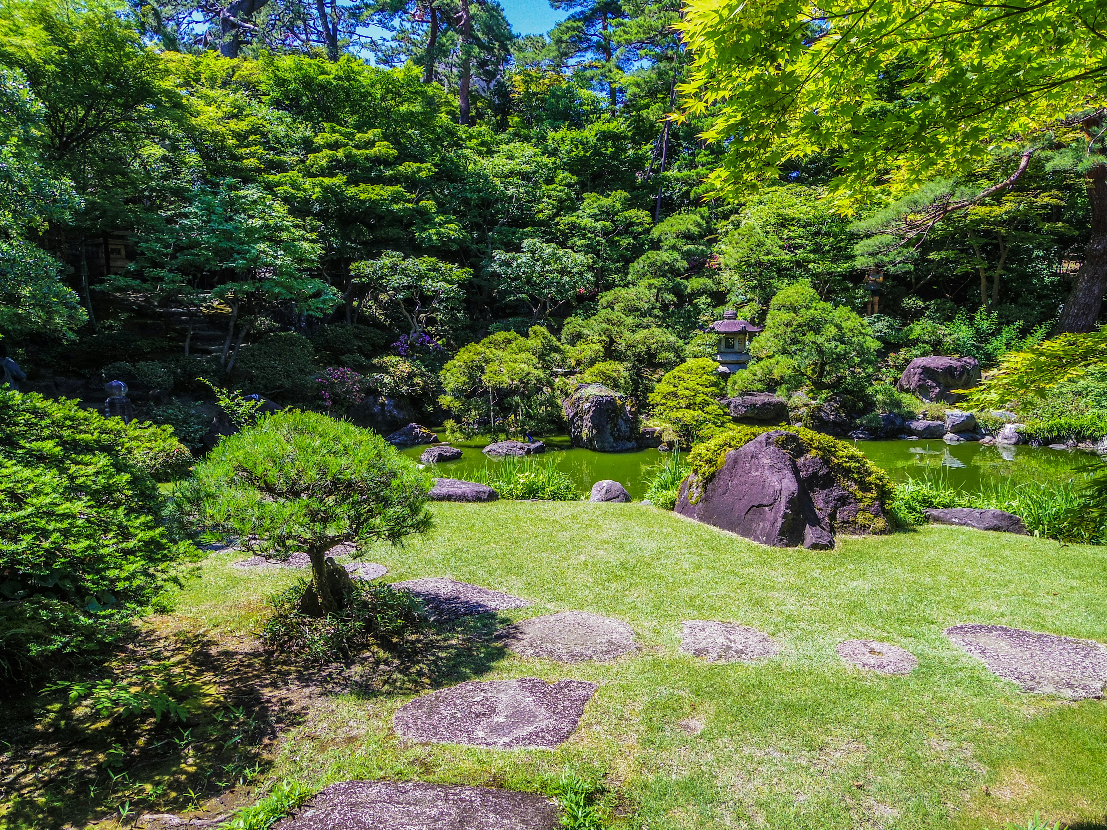 Magnifico paesaggio di giardino giapponese verde lussureggiante con rocce intorno a uno stagno