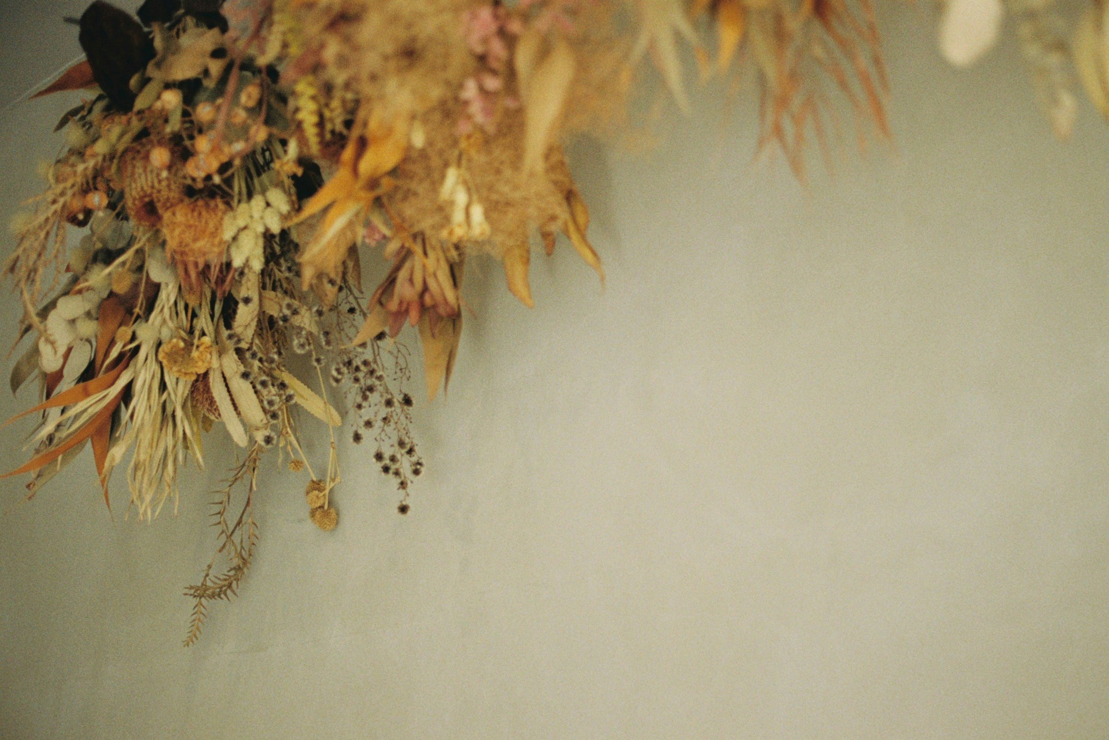 Dried flowers in soft colors arranged on a wall