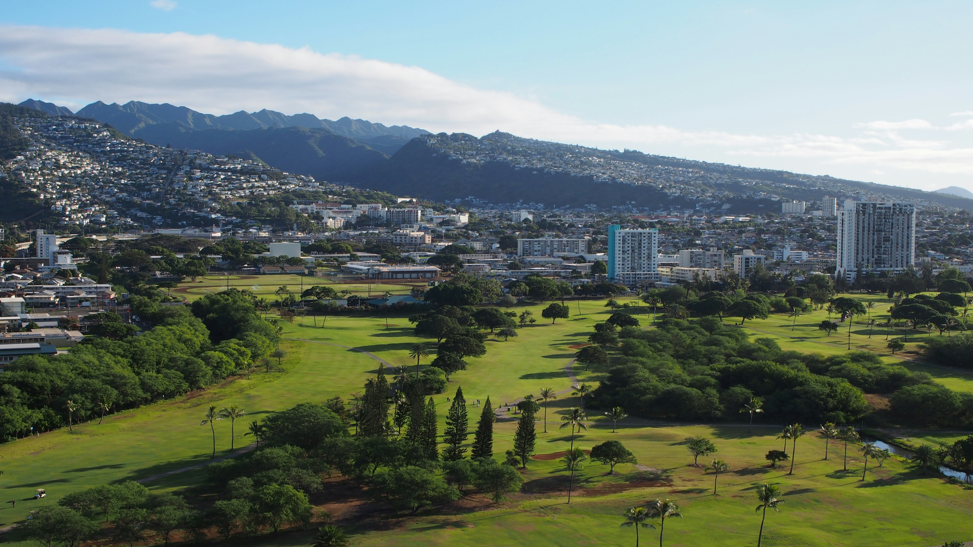 Hawaiian landscape featuring lush green park, city skyline, and mountains