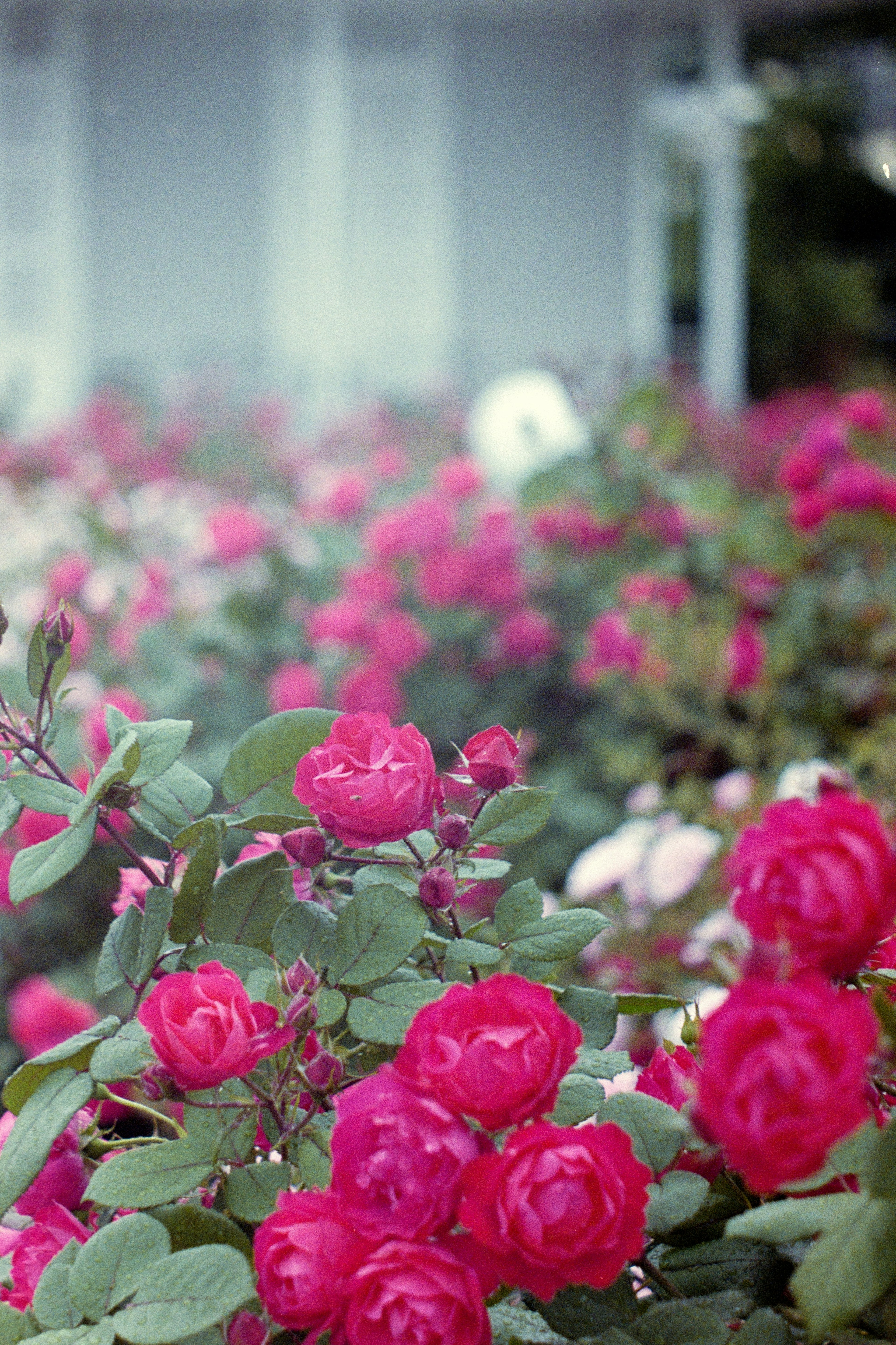 photo-i5QgfLcA0jhWUy5wg4Tk-image