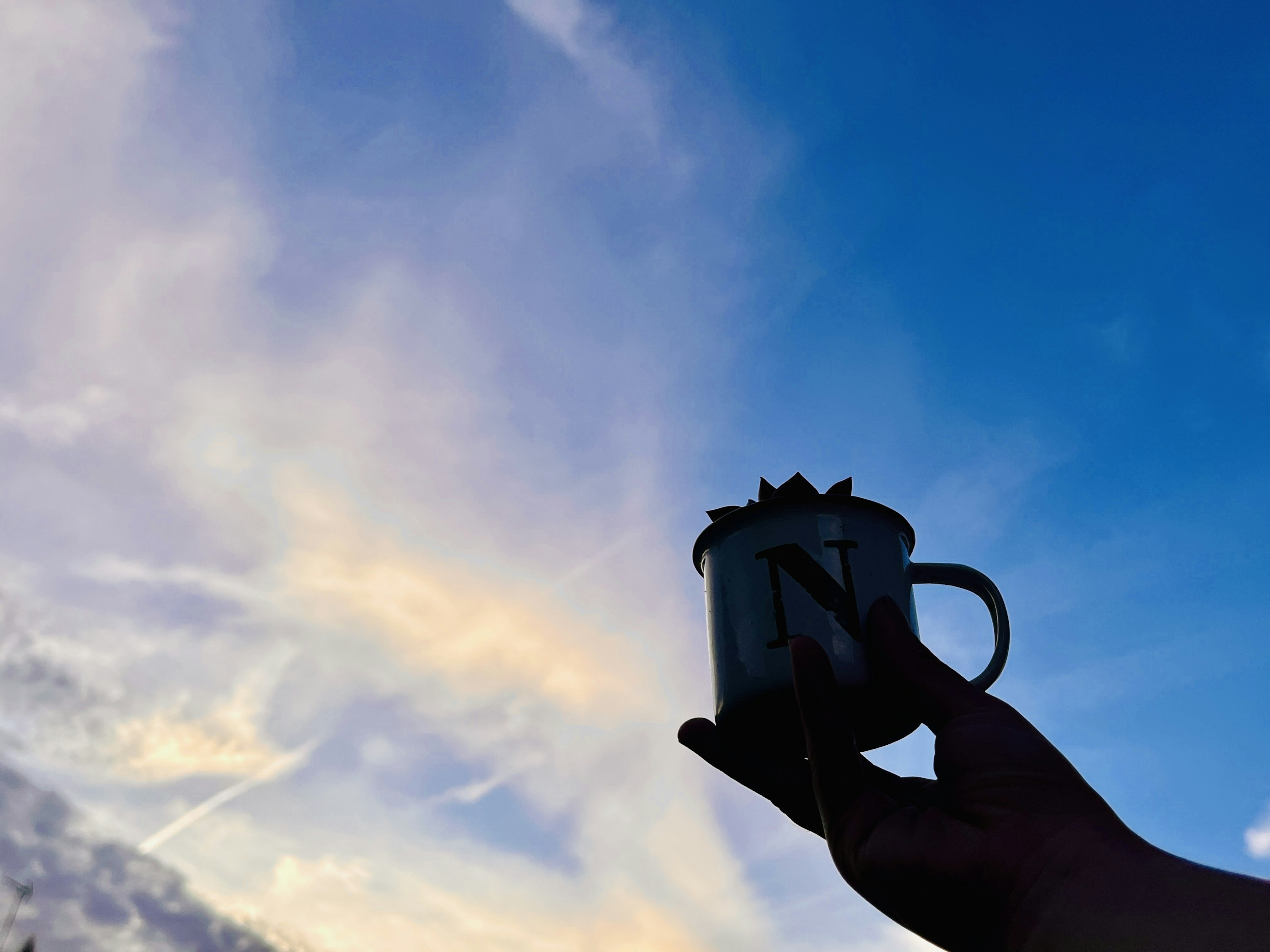 Silhouette di una mano che tiene una tazza con una pianta contro un cielo blu