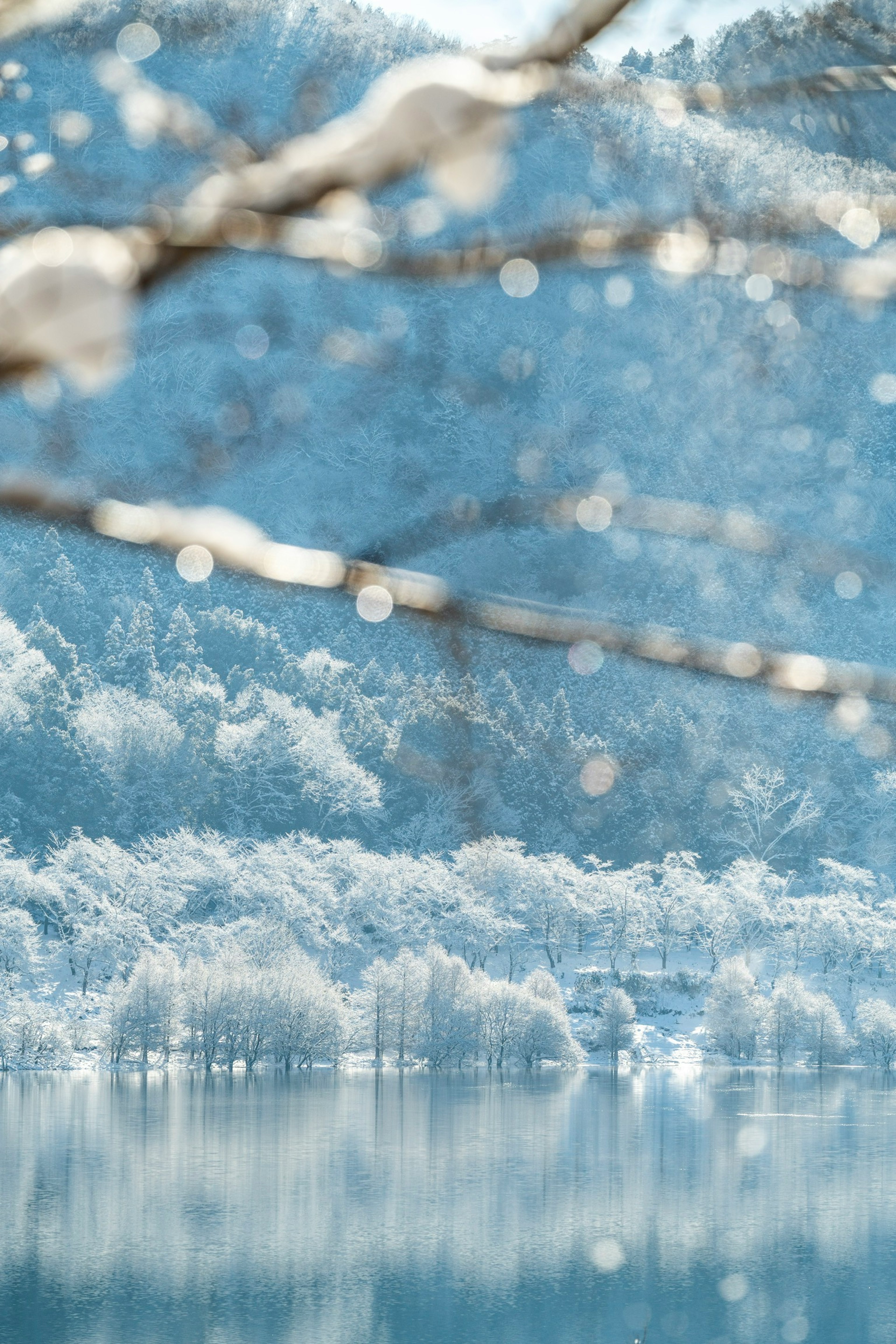 雪覆蓋的山脈和藍色水面的美麗風景