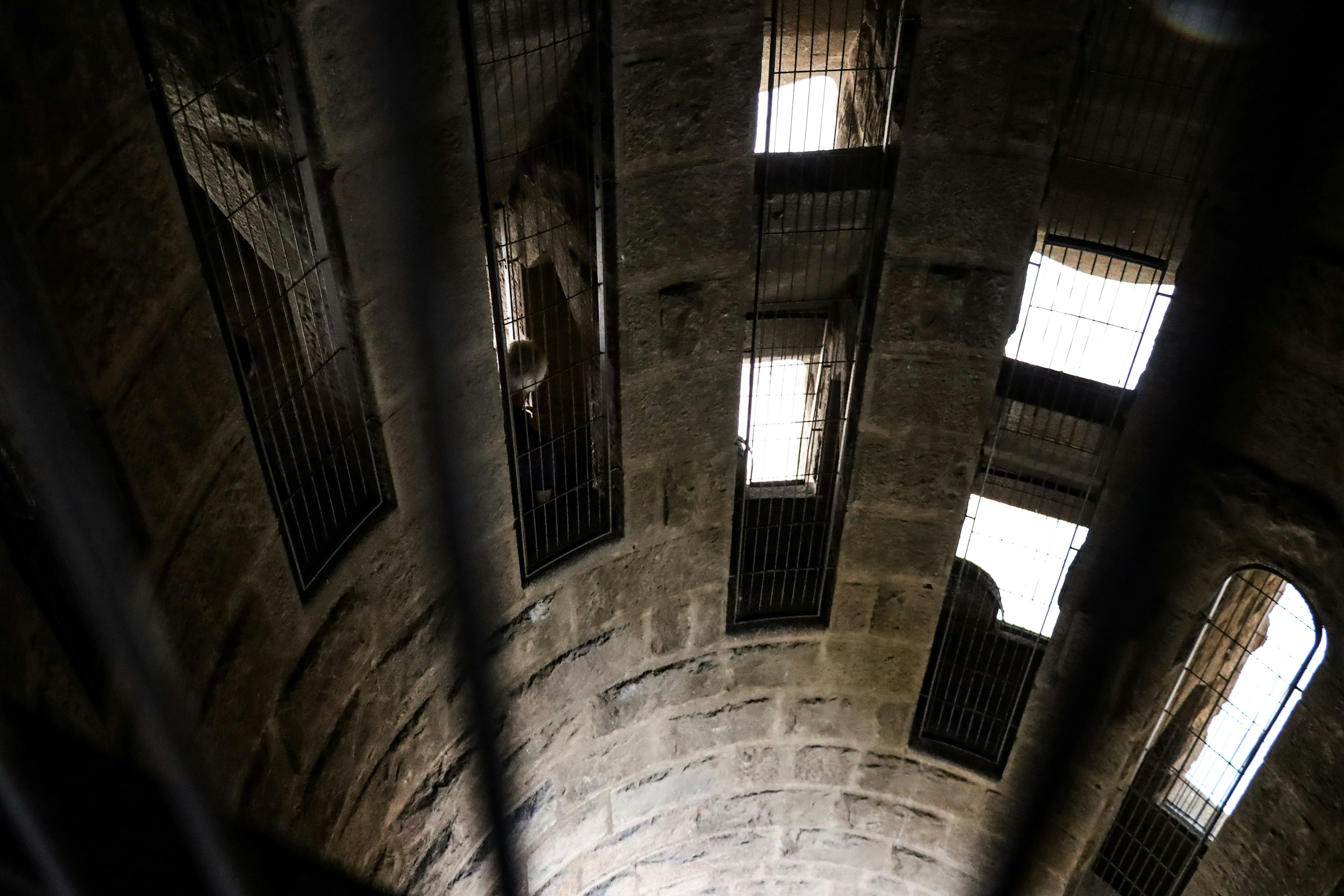 View of a stone ceiling with barred windows letting in light