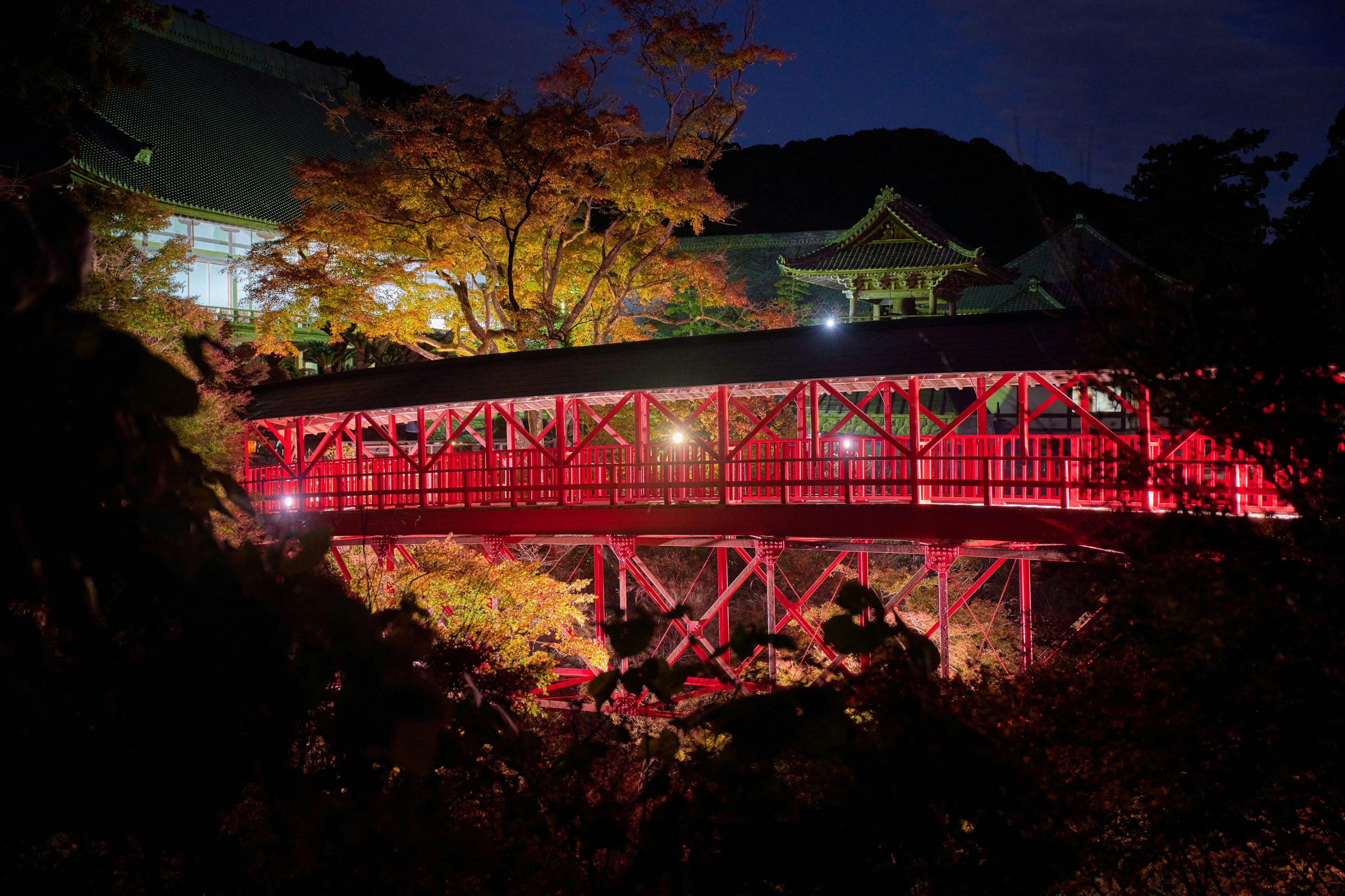 夜に赤く照らされた美しい橋と紅葉した木々