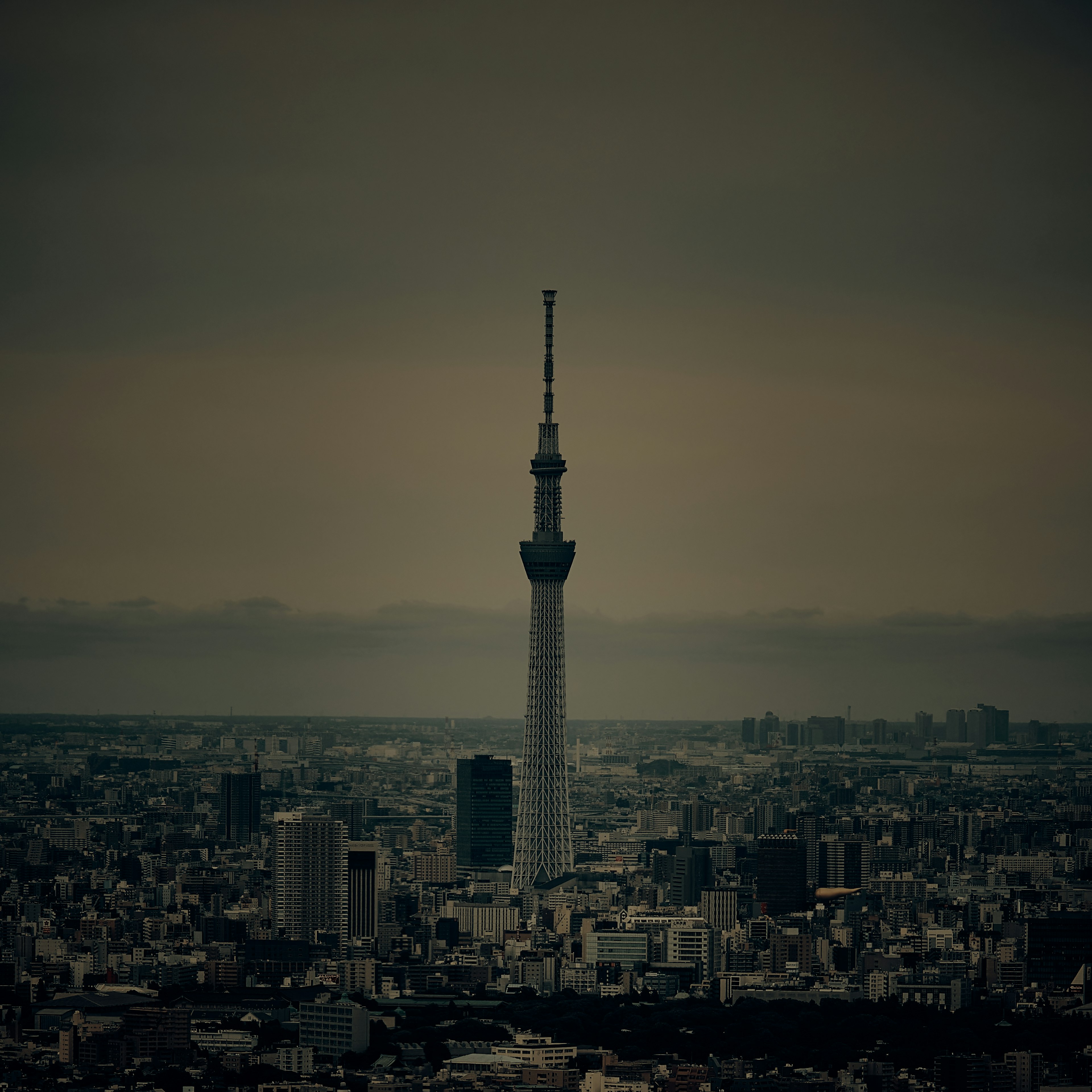 Tokyo Skytree sobresaliendo en el horizonte urbano