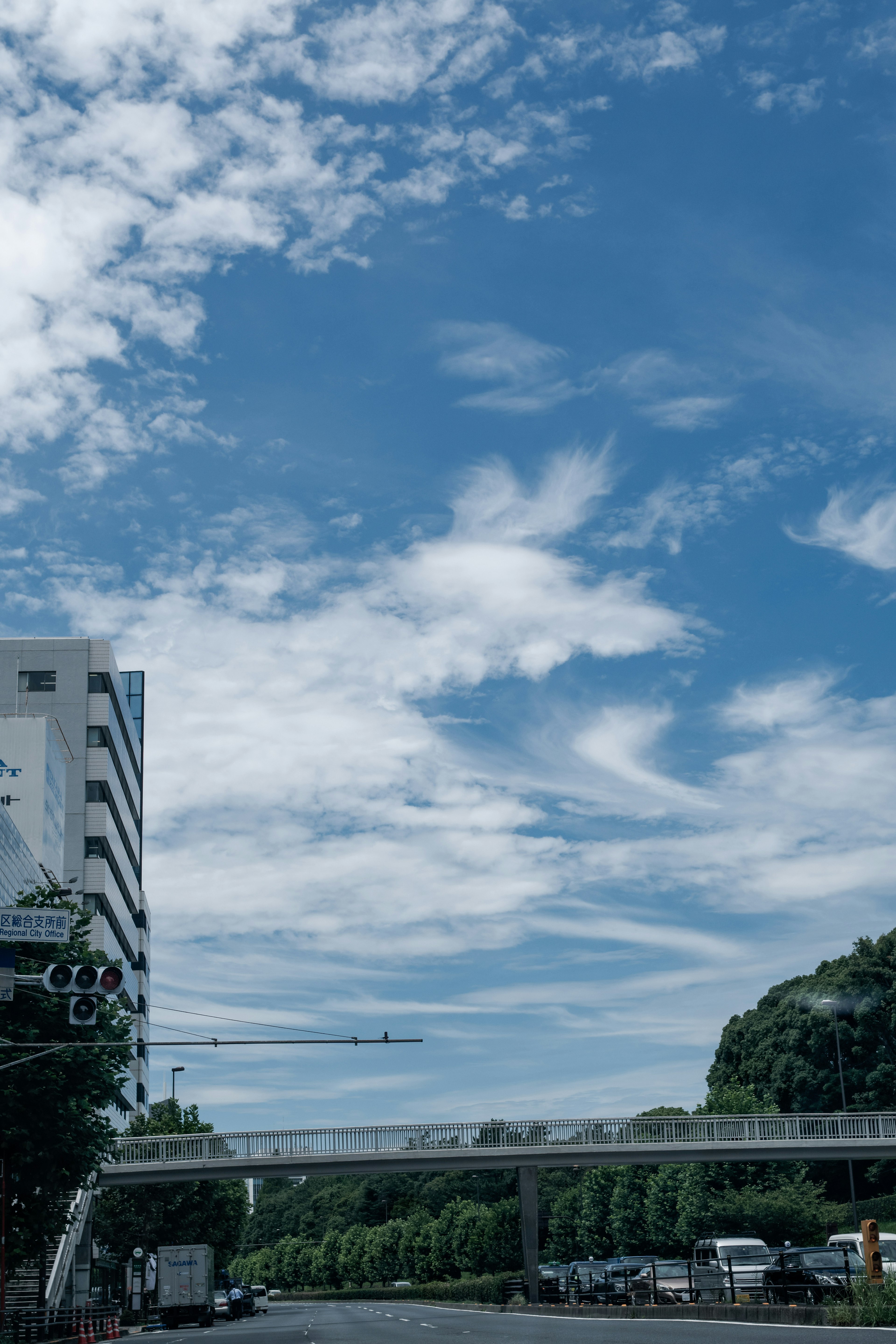 Paisaje urbano con cielo azul y nubes que presenta edificios altos y vegetación