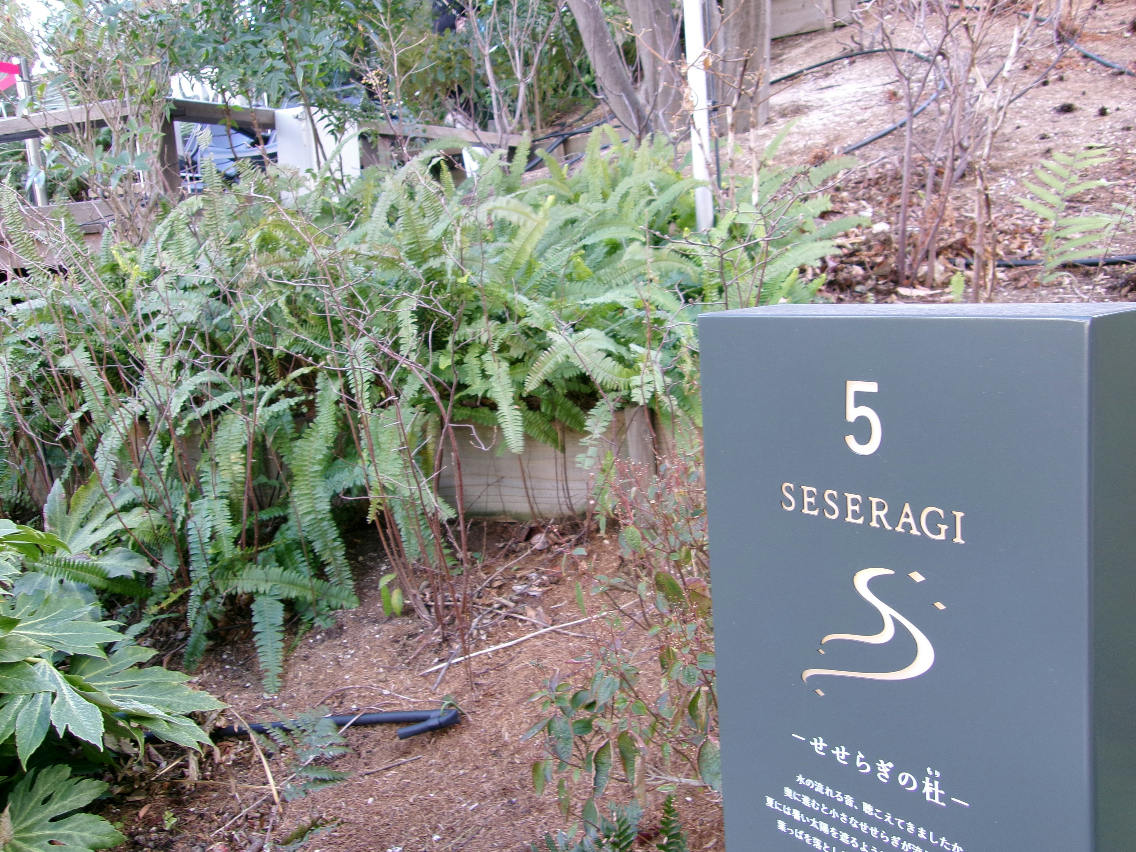 Sign for number 5 Seseragi surrounded by lush greenery