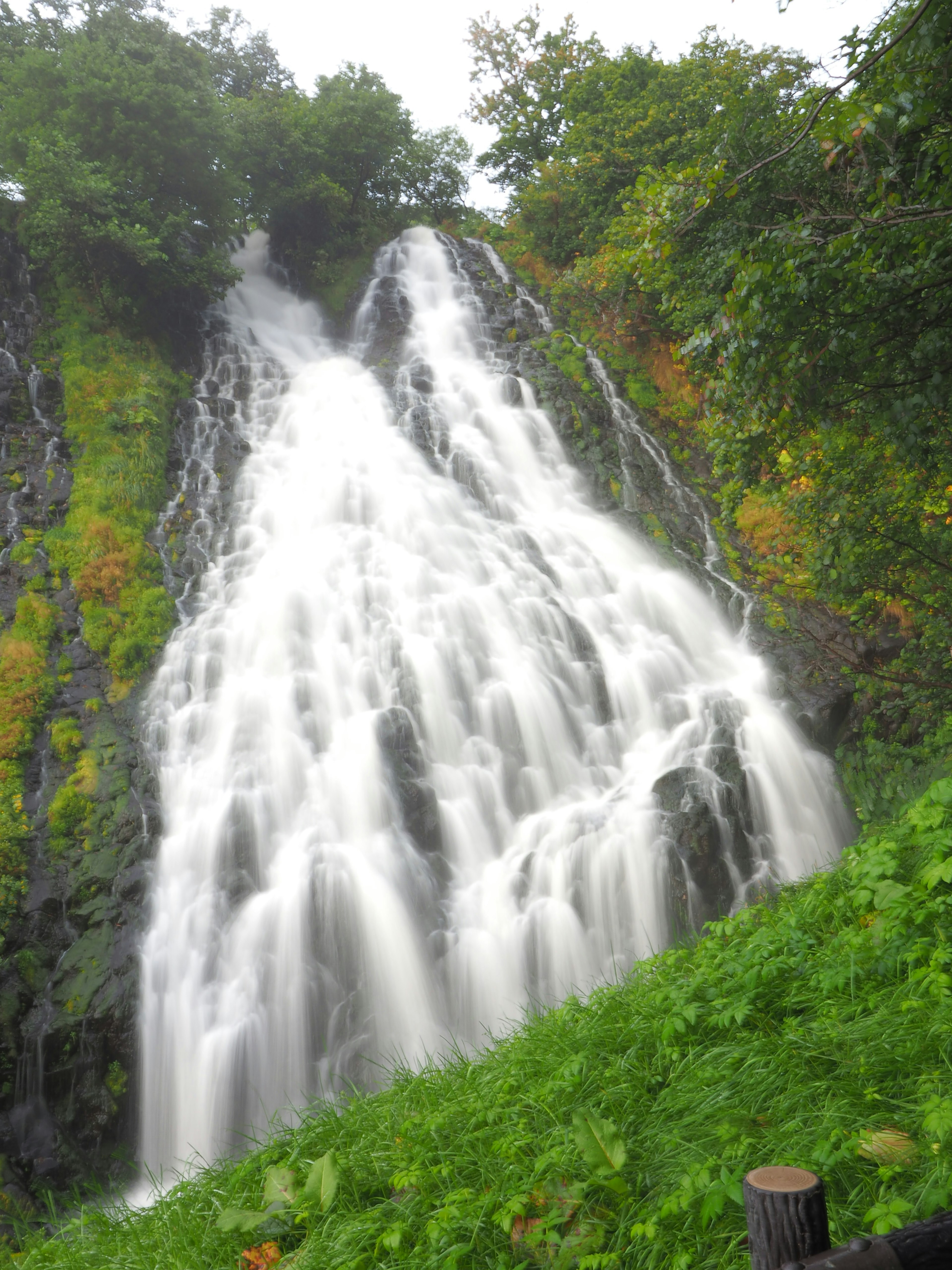 Hermoso paisaje con una cascada y hierba verde exuberante