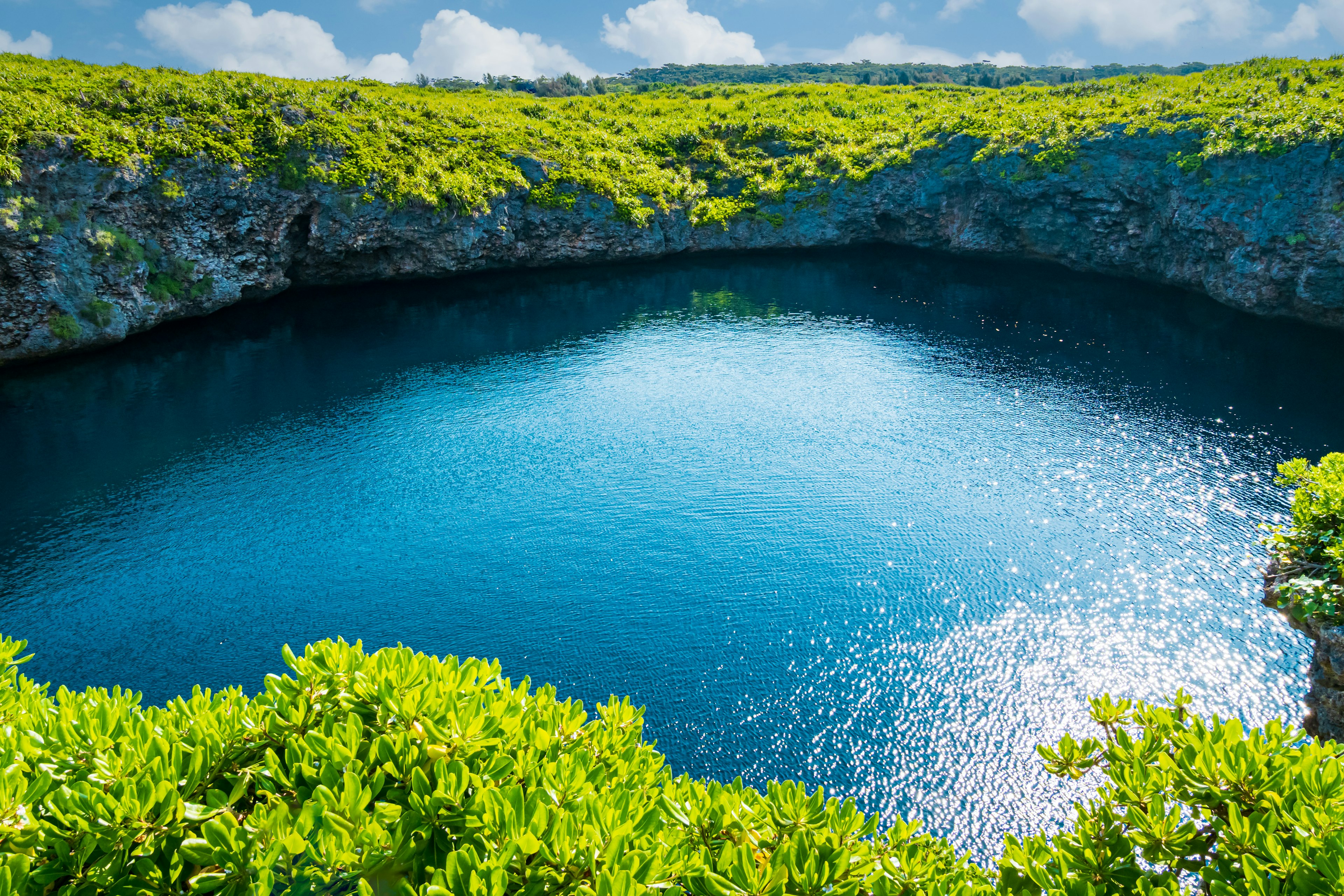 A serene lake surrounded by lush green vegetation and bright blue water