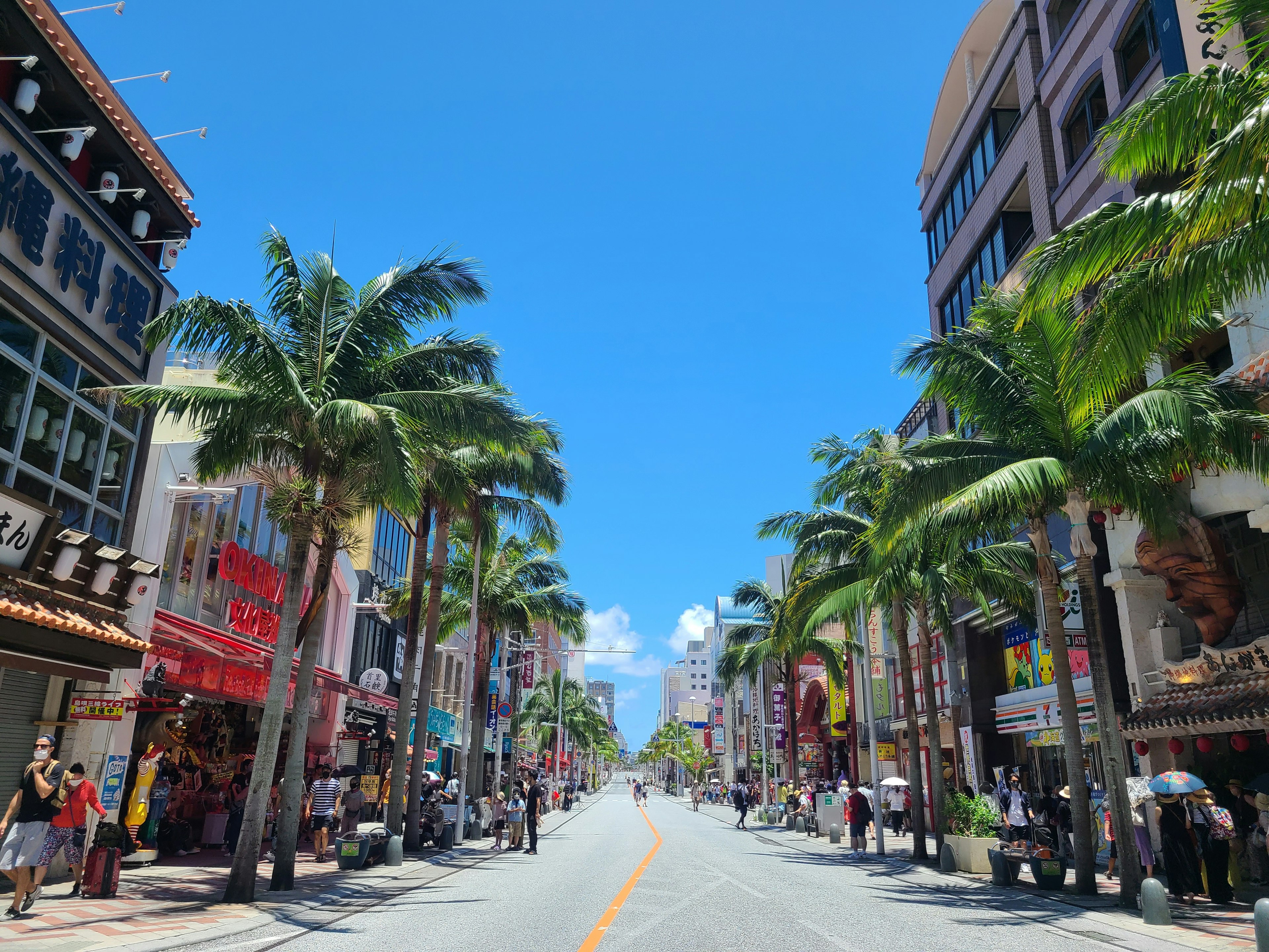 A lively street scene with palm trees under a clear blue sky