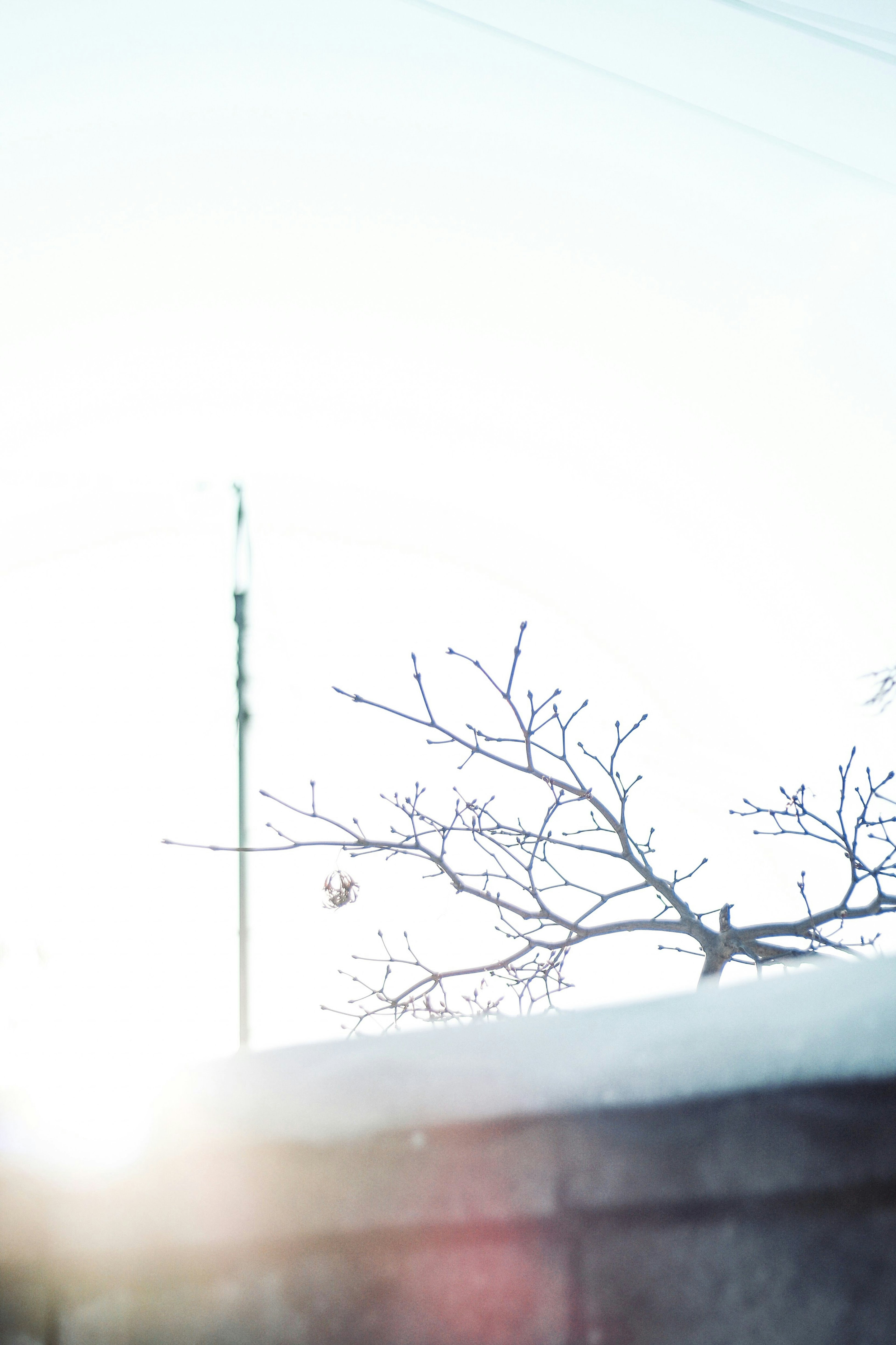 雪の積もった壁と木の枝が見える冬の風景