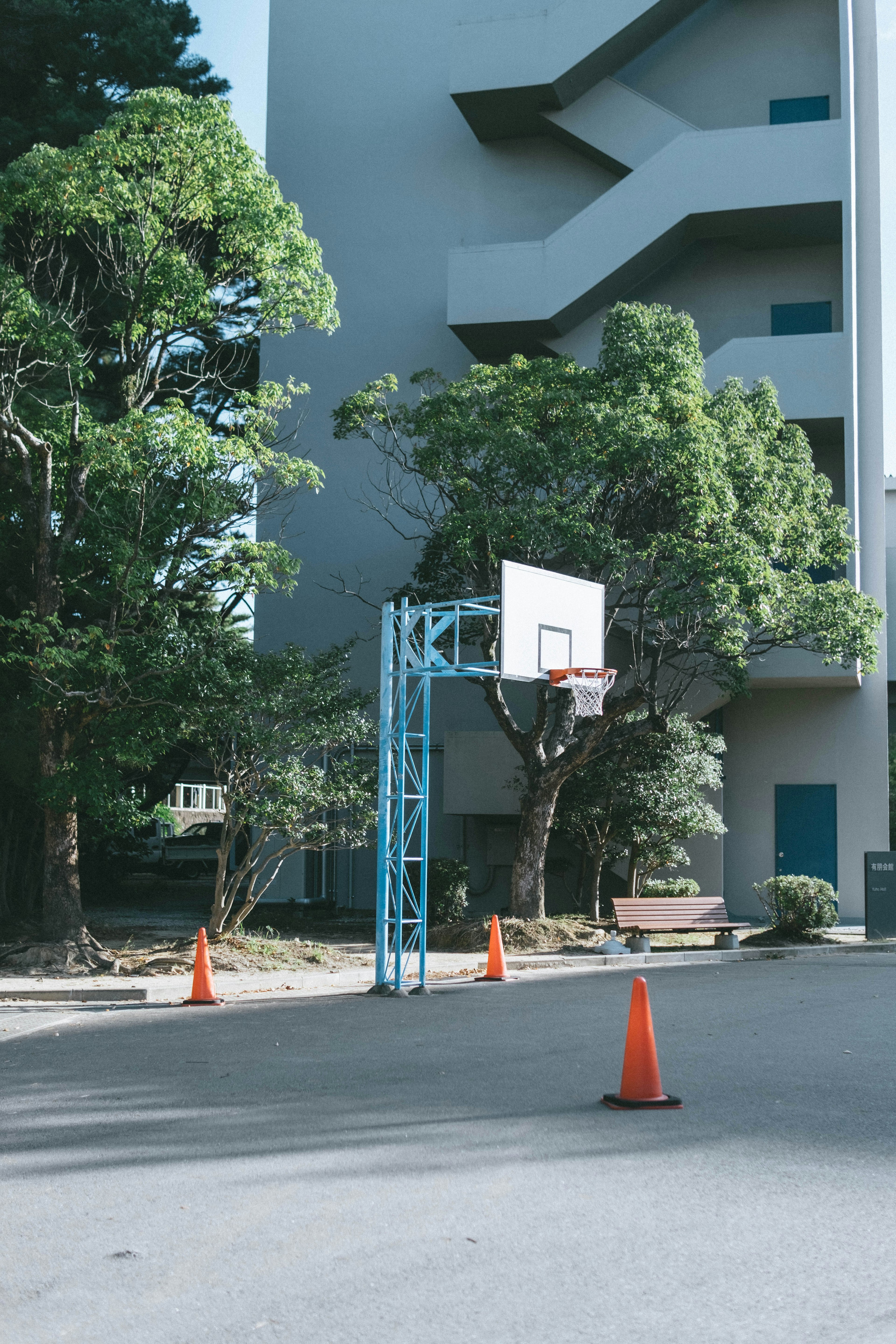 Imagen de un aro de baloncesto al aire libre rodeado de árboles con conos de tráfico cercanos