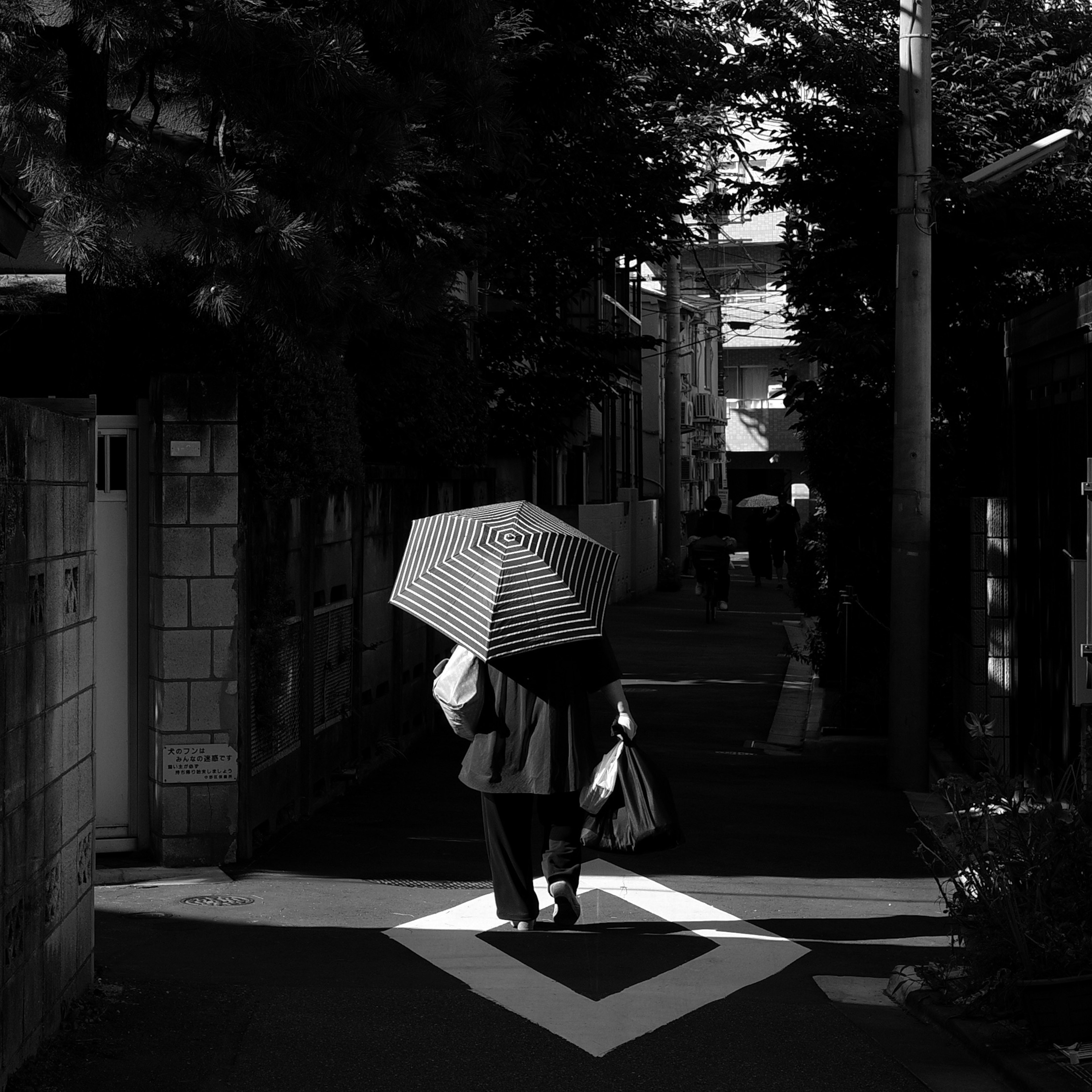 photo-i8TECYrhw7v0tjfFyeH1-image
