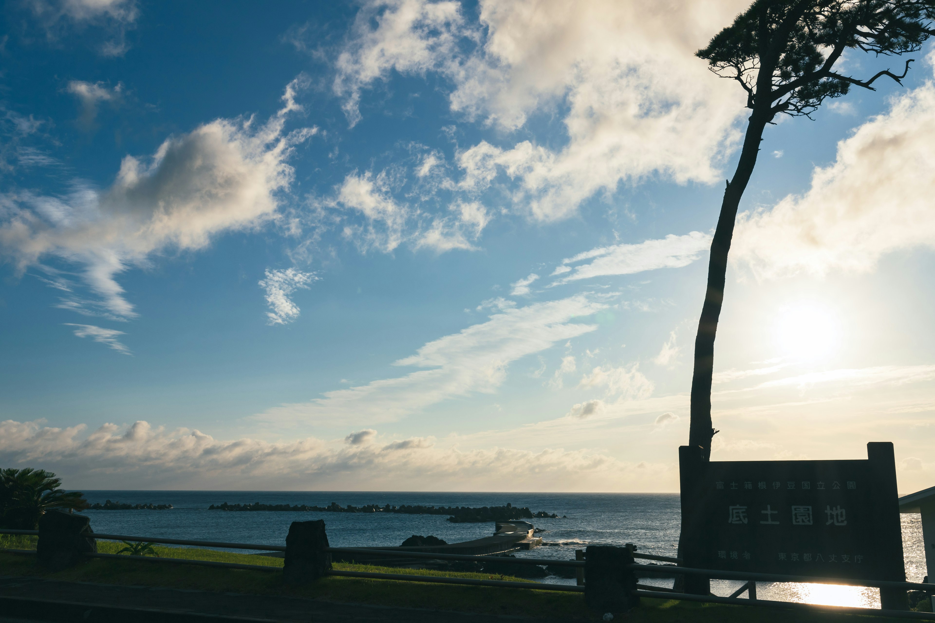 青い空と海を背景にした夕暮れの風景、シルエットの木とベンチが特徴