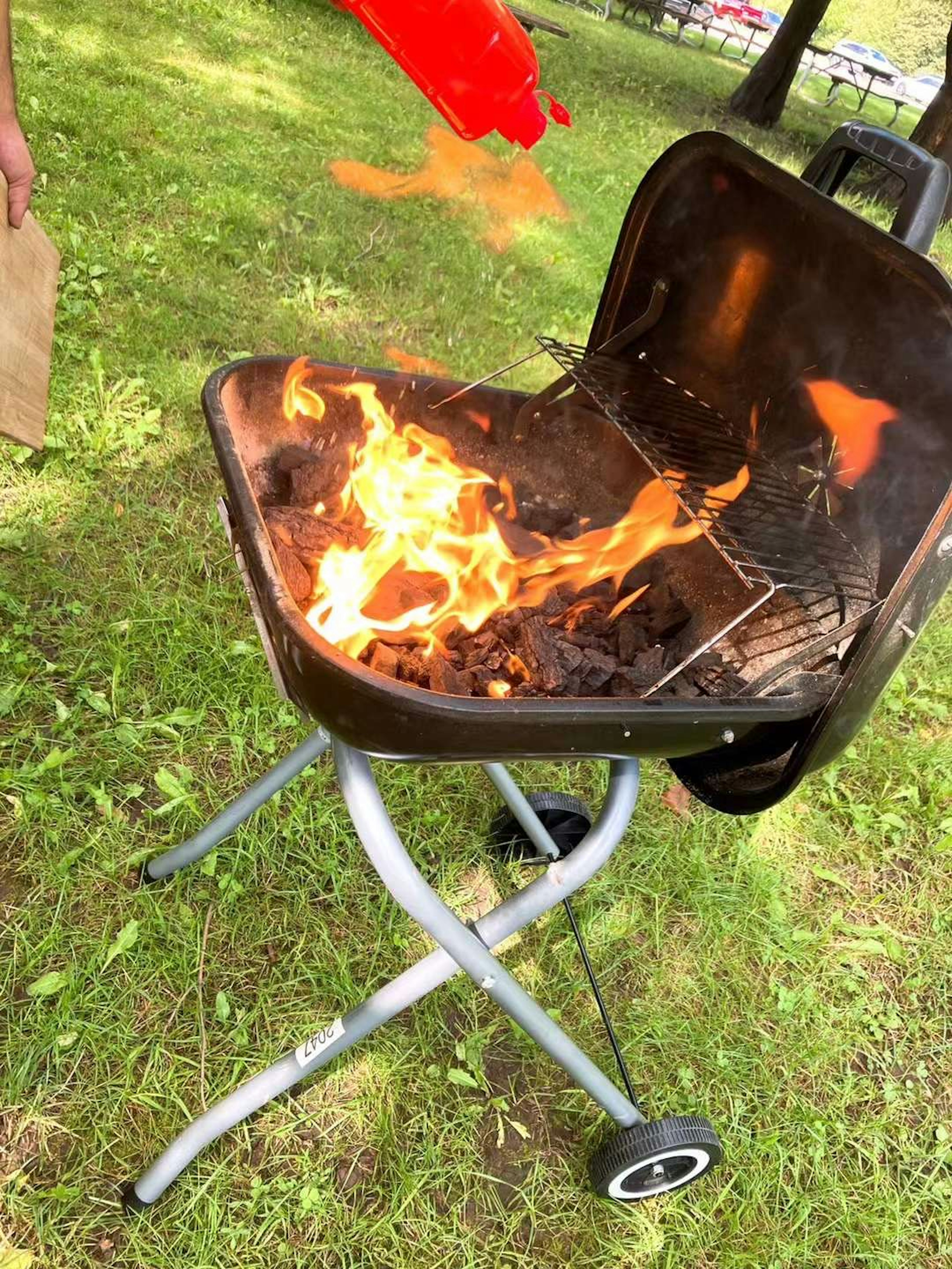 Grill mit Flammen und grünem Gras