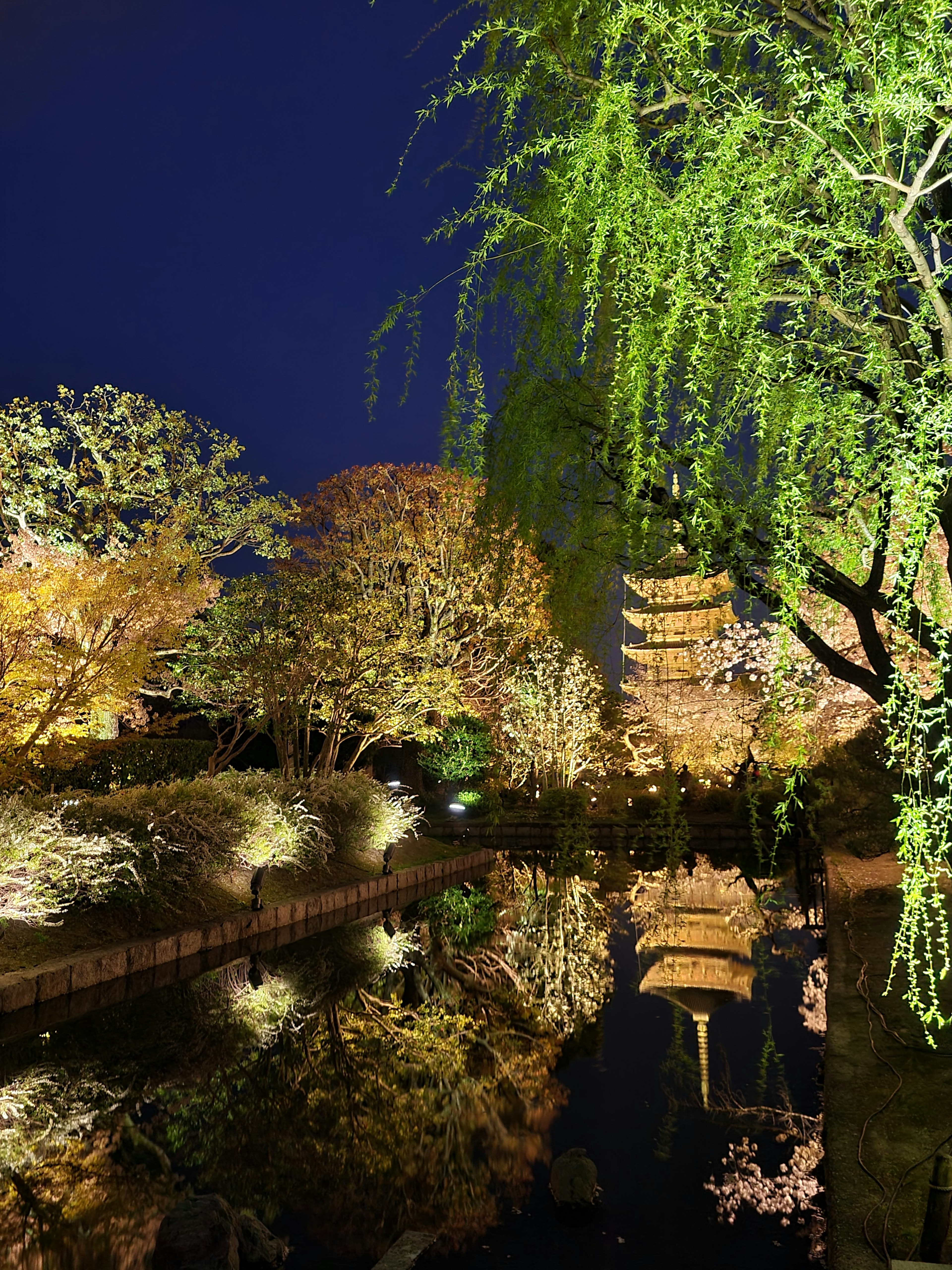 Jardin japonais illuminé la nuit avec des arbres et un étang