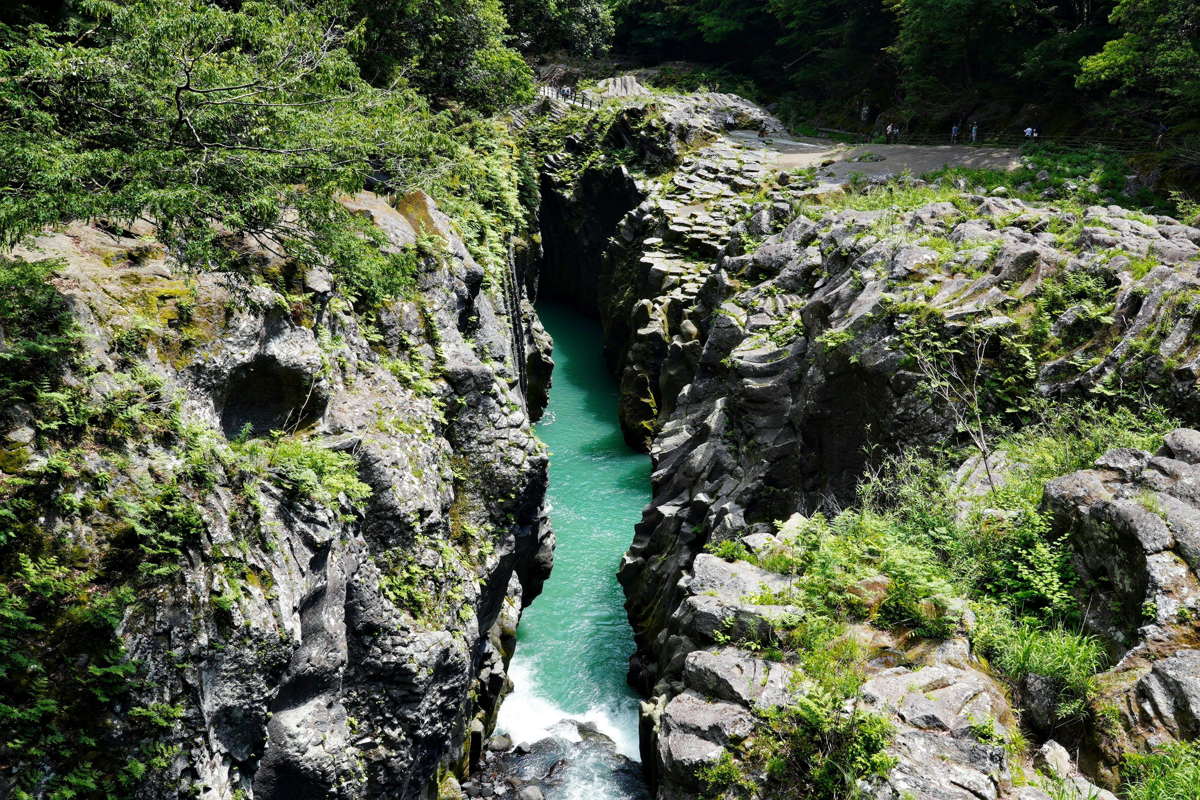 Un canyon avec de l'eau turquoise entouré de verdure luxuriante et de terrain rocheux