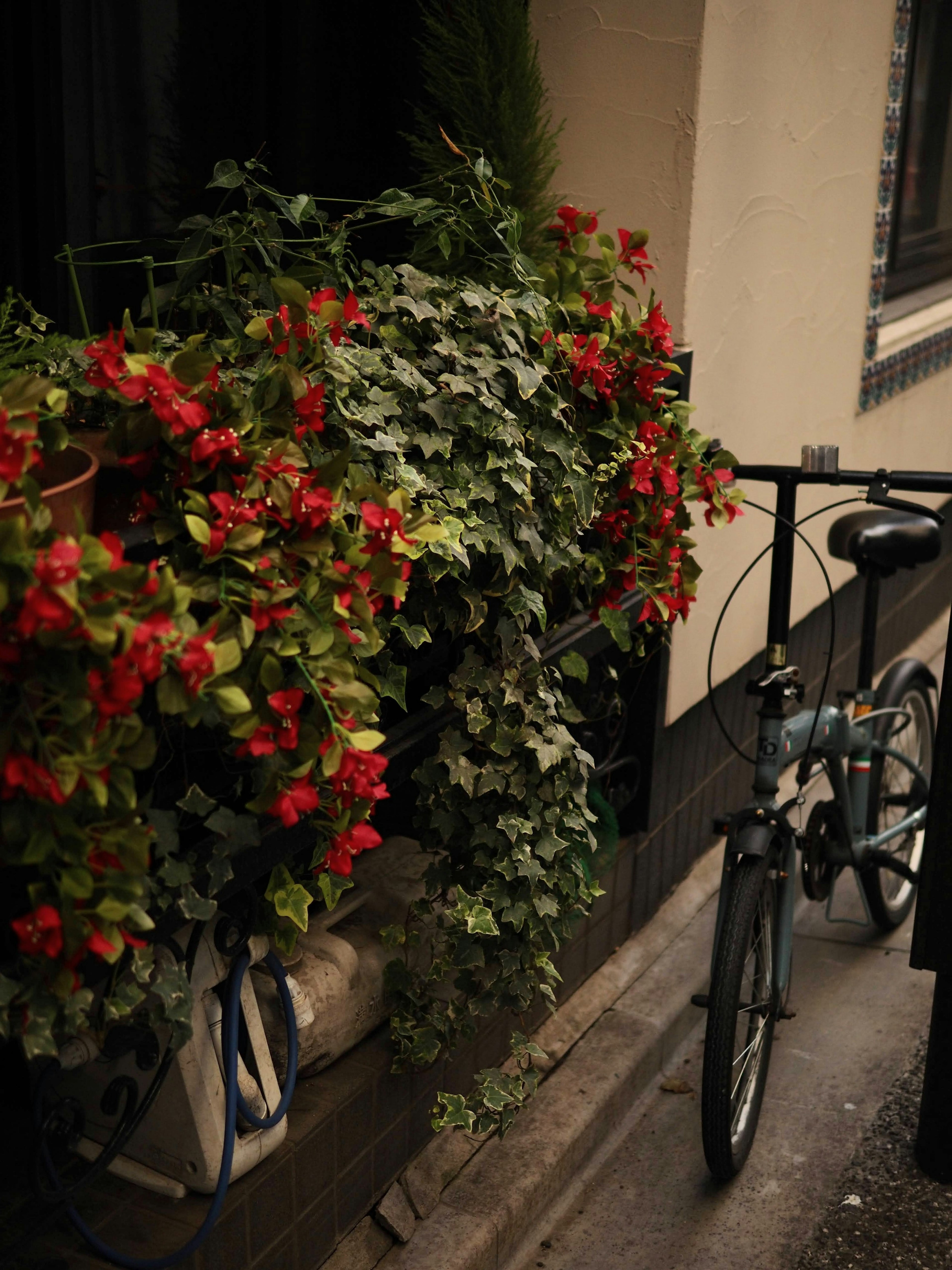 Bicycle beside a balcony overflowing with vibrant red flowers and lush green leaves