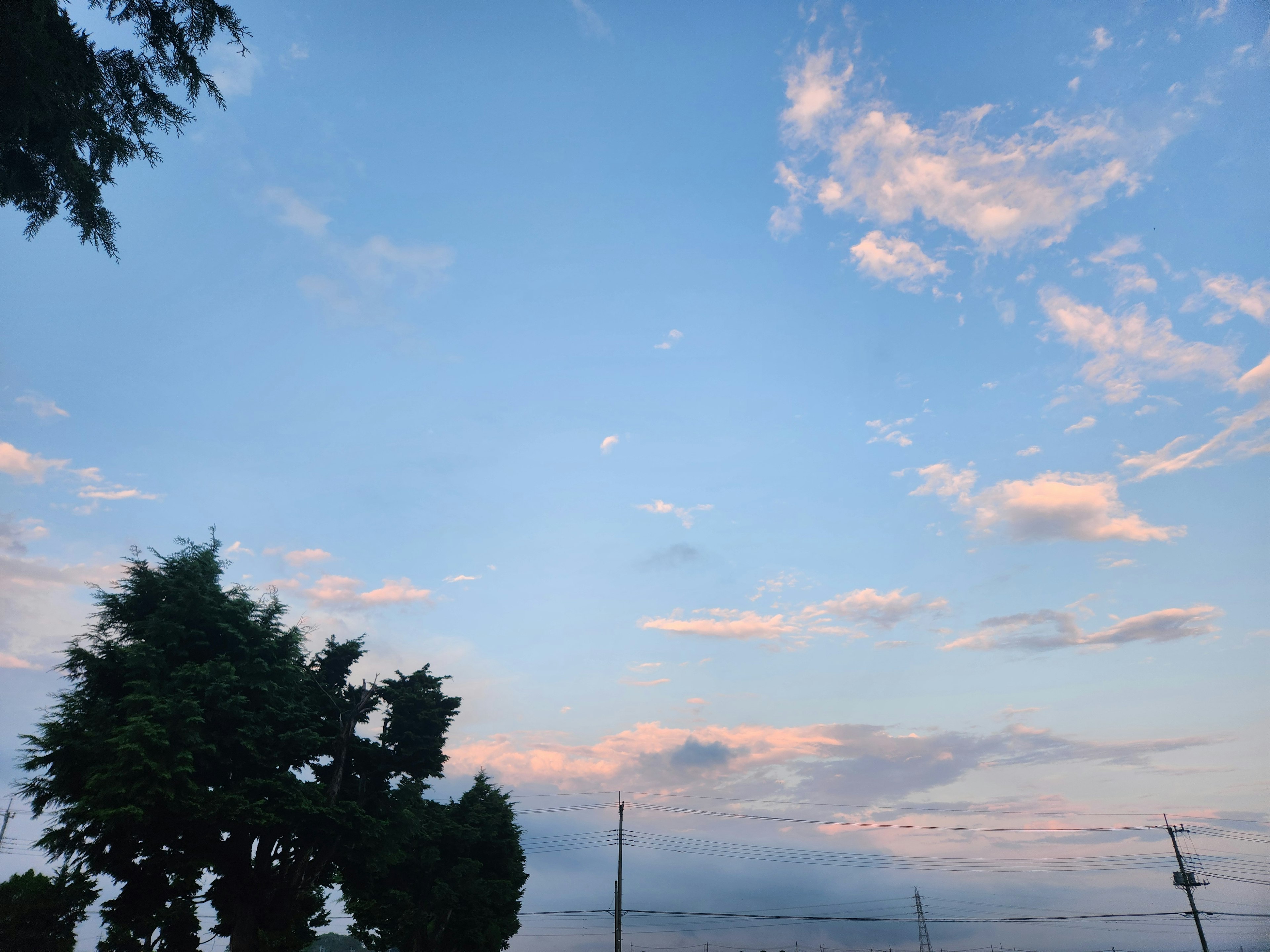 青空に浮かぶ柔らかな雲とシルエットの木々