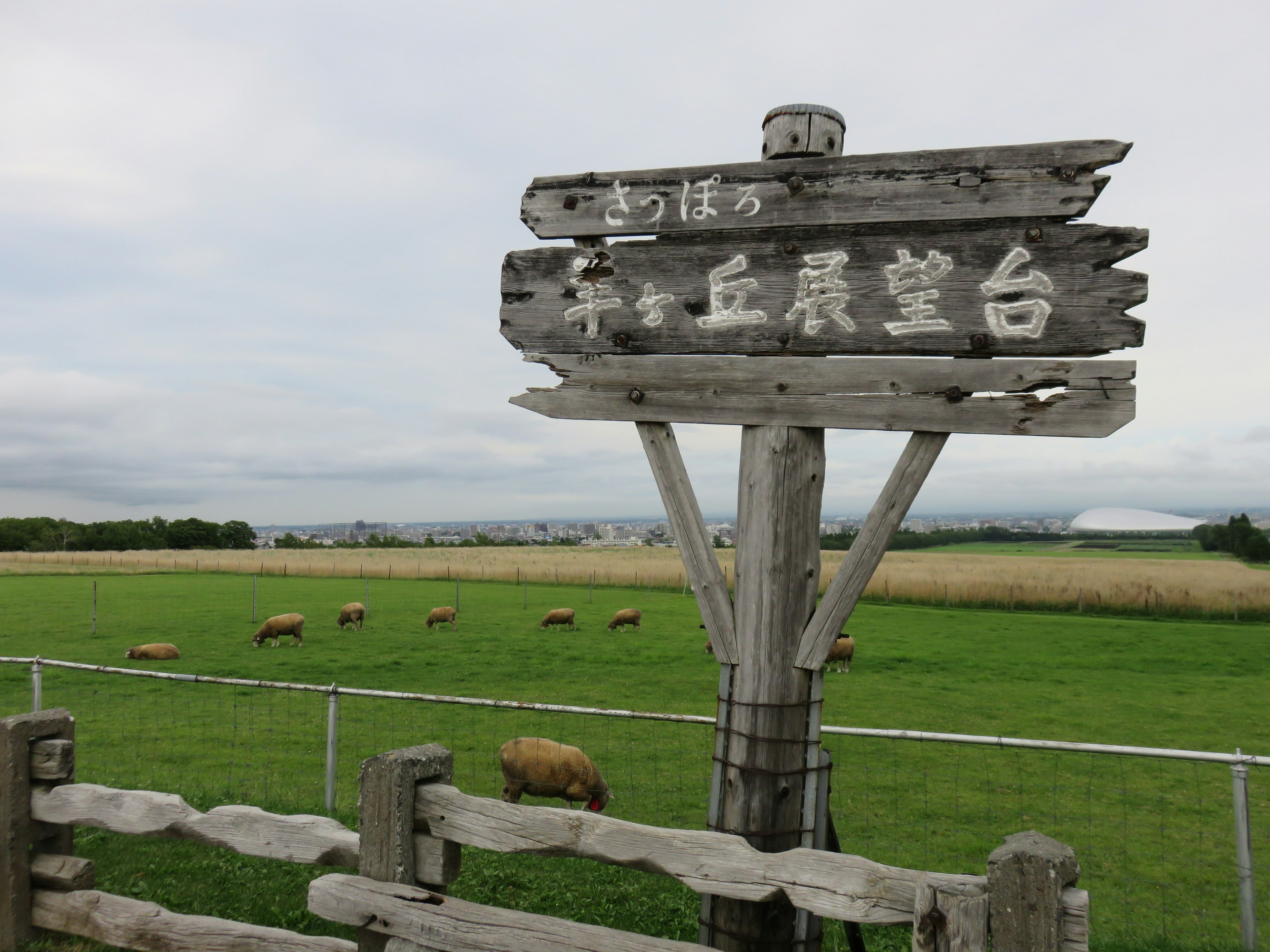 平丘展望台の木製看板と広がる緑の牧草地