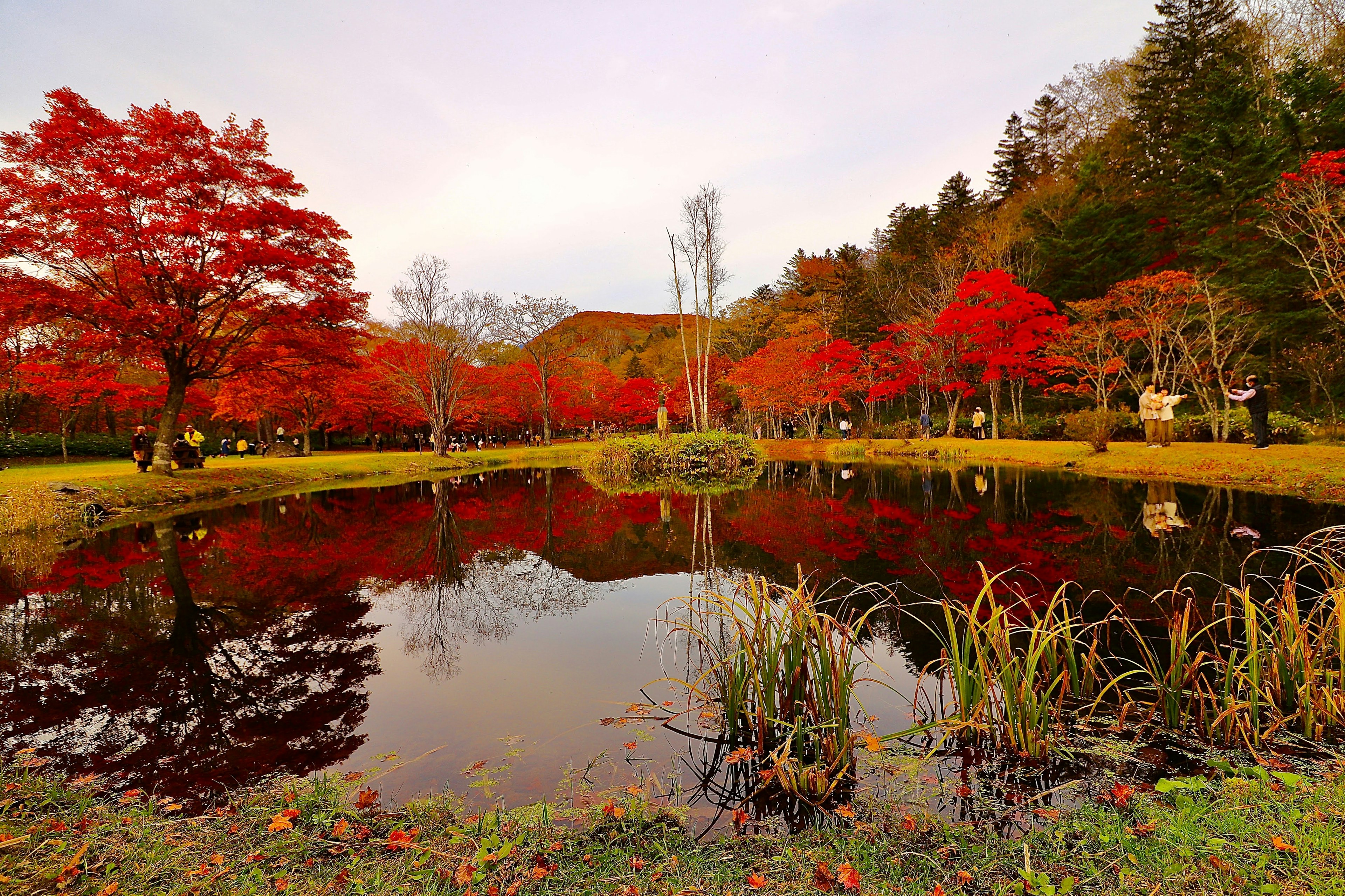 Vista escénica de un estanque que refleja hojas de otoño rojas