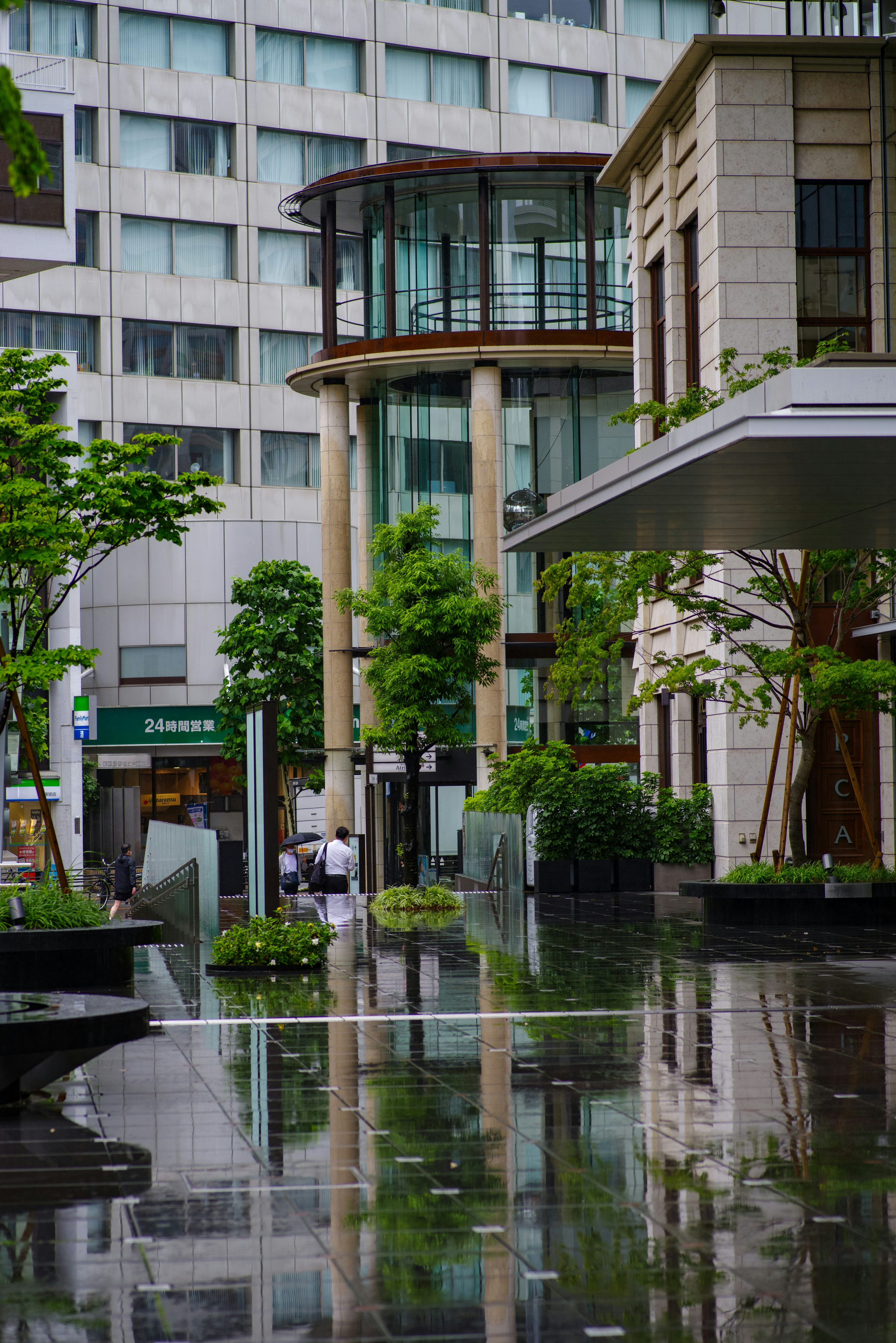 雨に濡れた都市の風景 高層ビル周辺の緑豊かな植栽と水たまりの反射