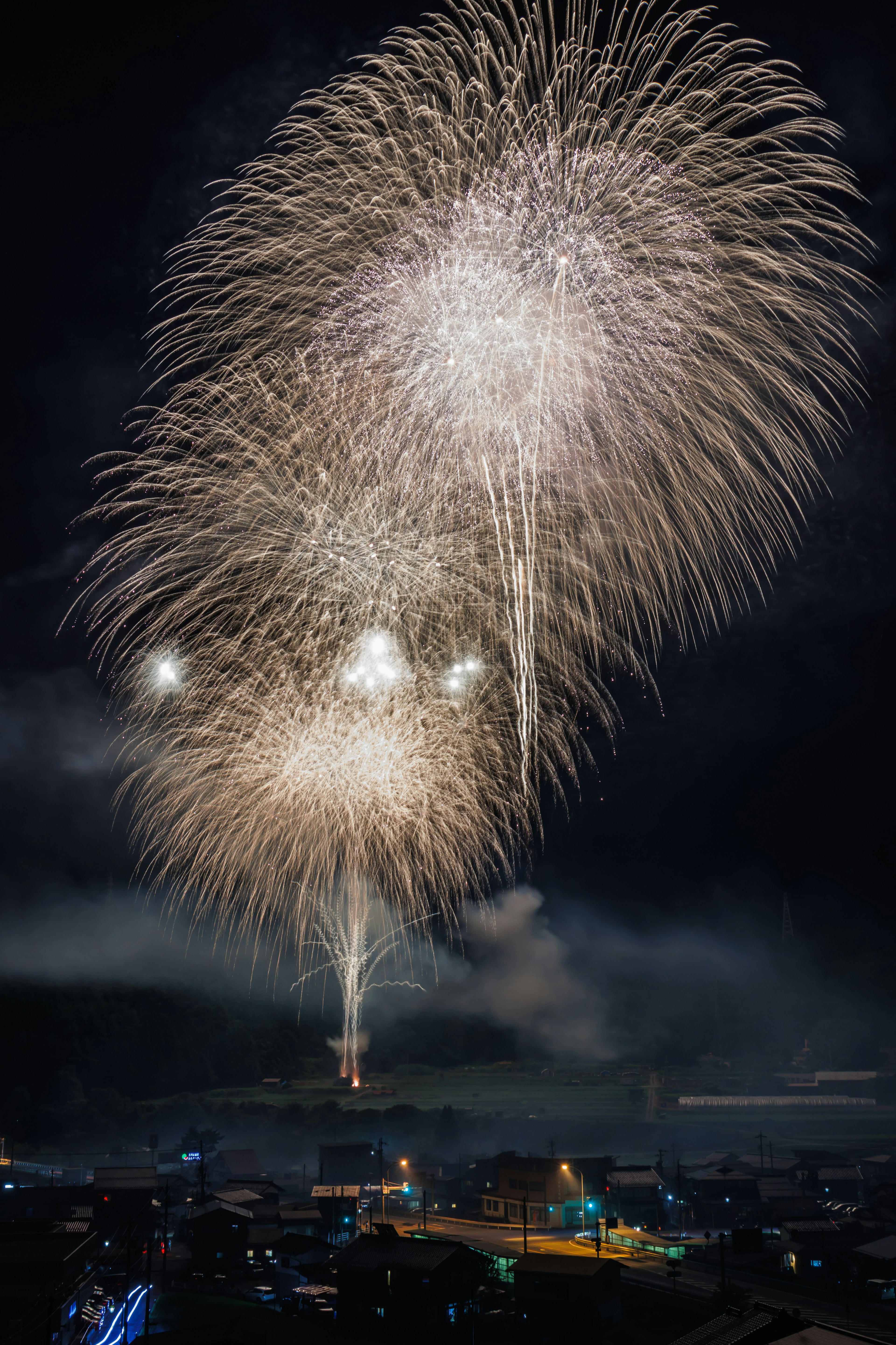 夜空に広がる大きな花火が印象的な風景