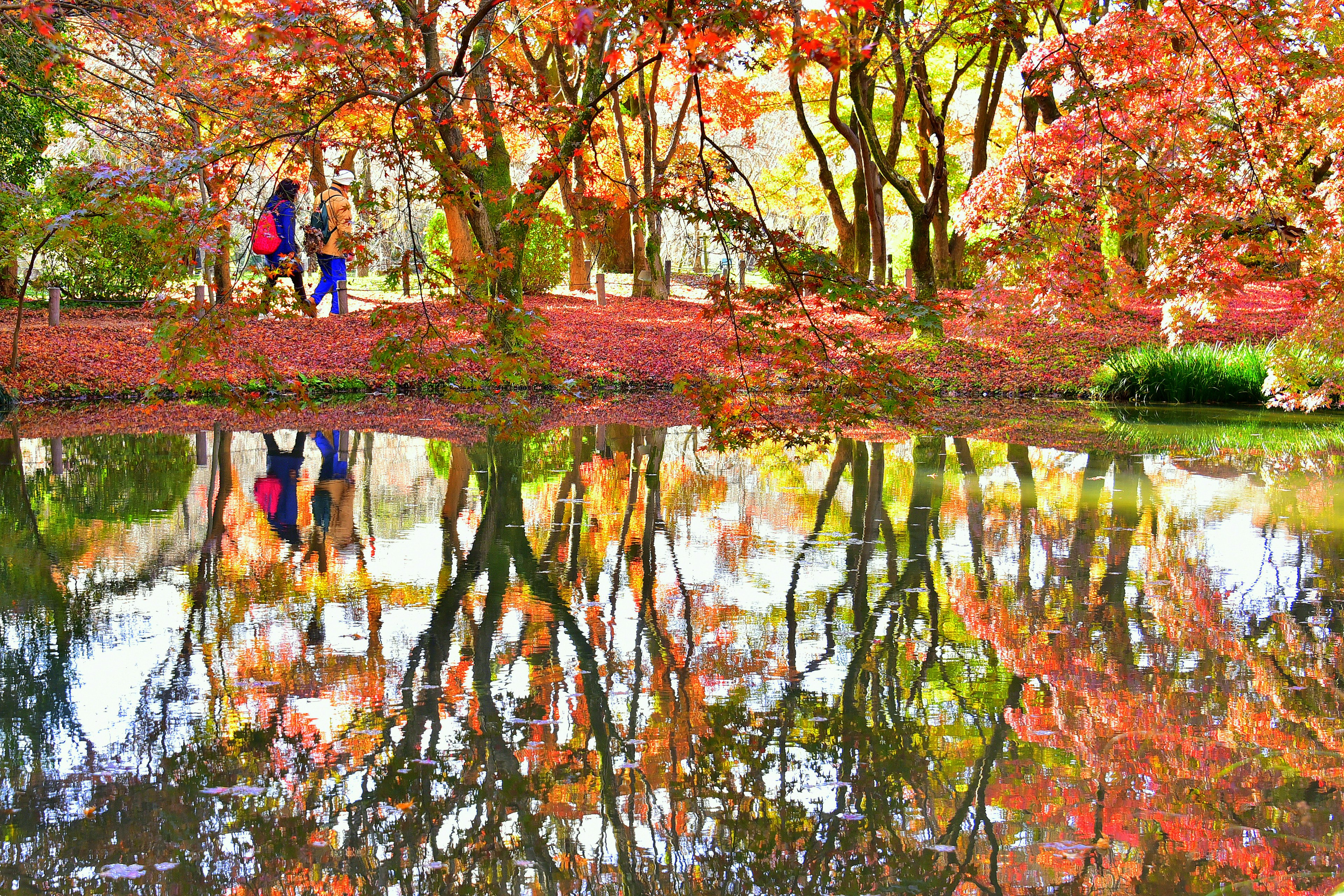 ทัศนียภาพที่สวยงามของผู้คนเดินในสวนที่มีใบไม้เปลี่ยนสีสะท้อนในน้ำ