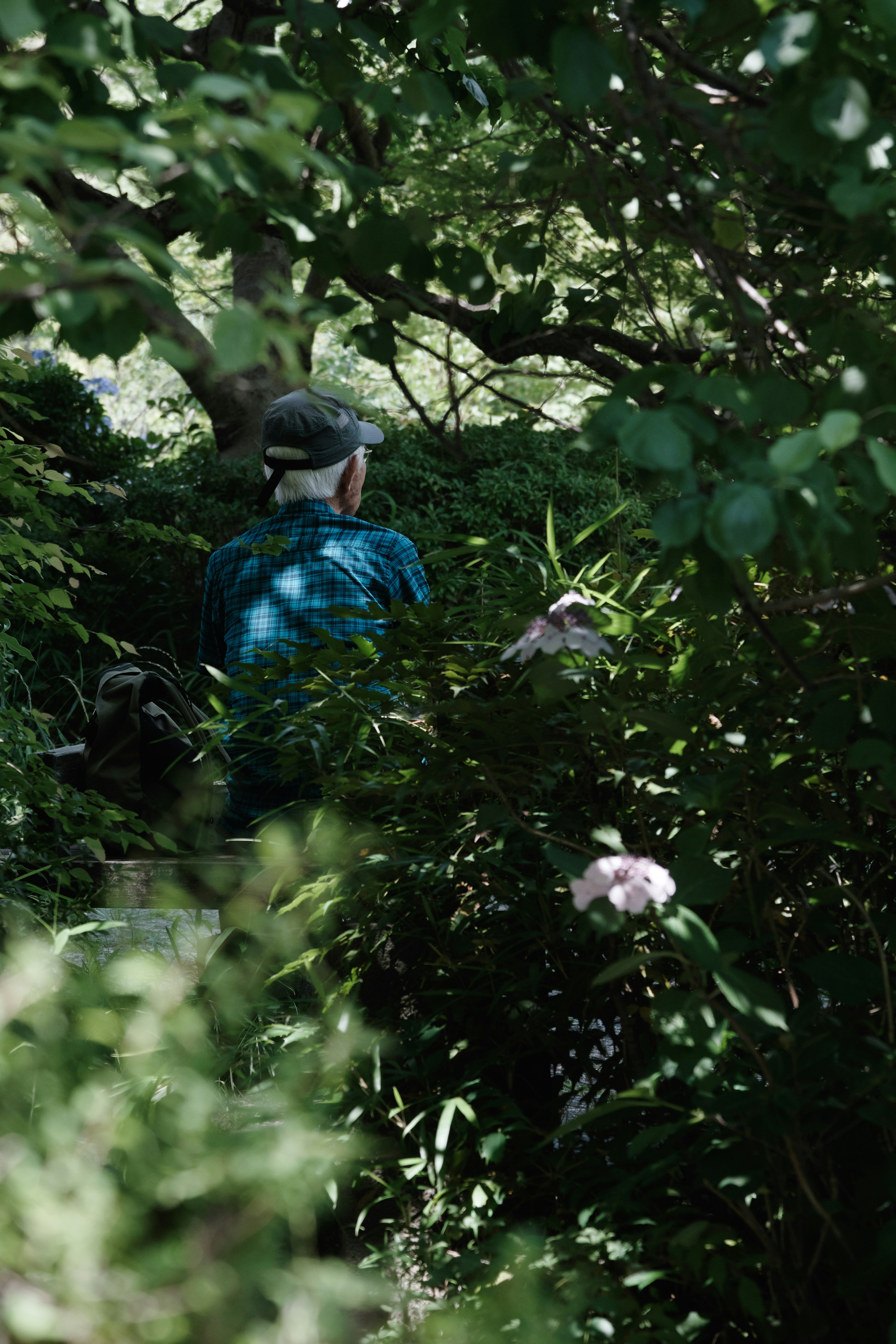 A person exploring lush greenery in a natural setting