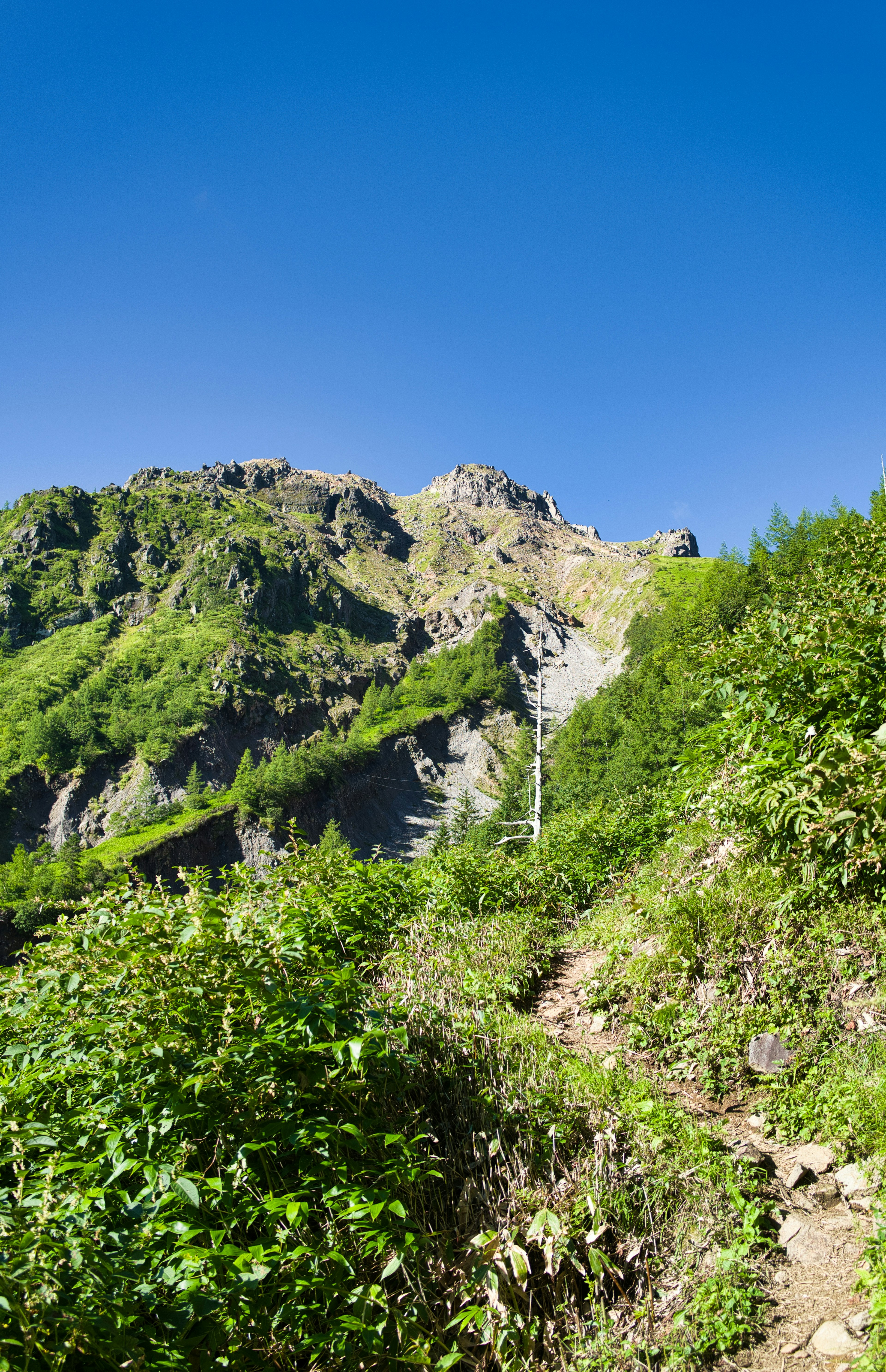 Una vista escénica de un sendero de senderismo que sube por una montaña verde bajo un cielo azul claro