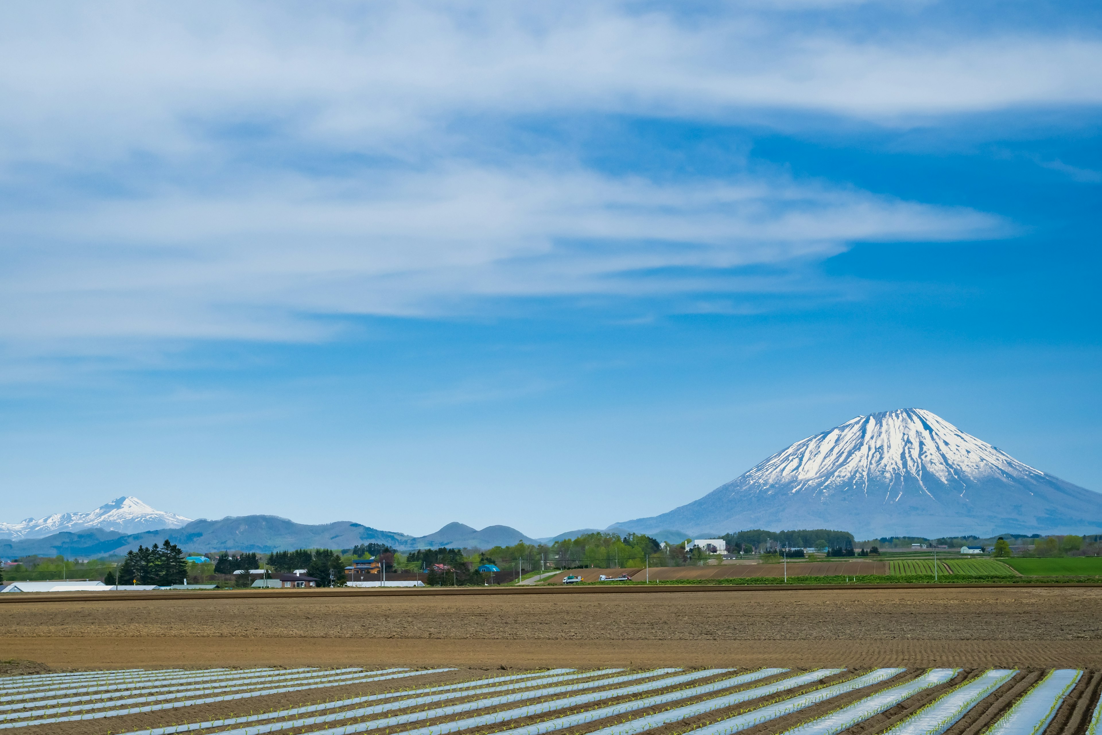 Paysage rural avec ciel bleu et montagnes enneigées